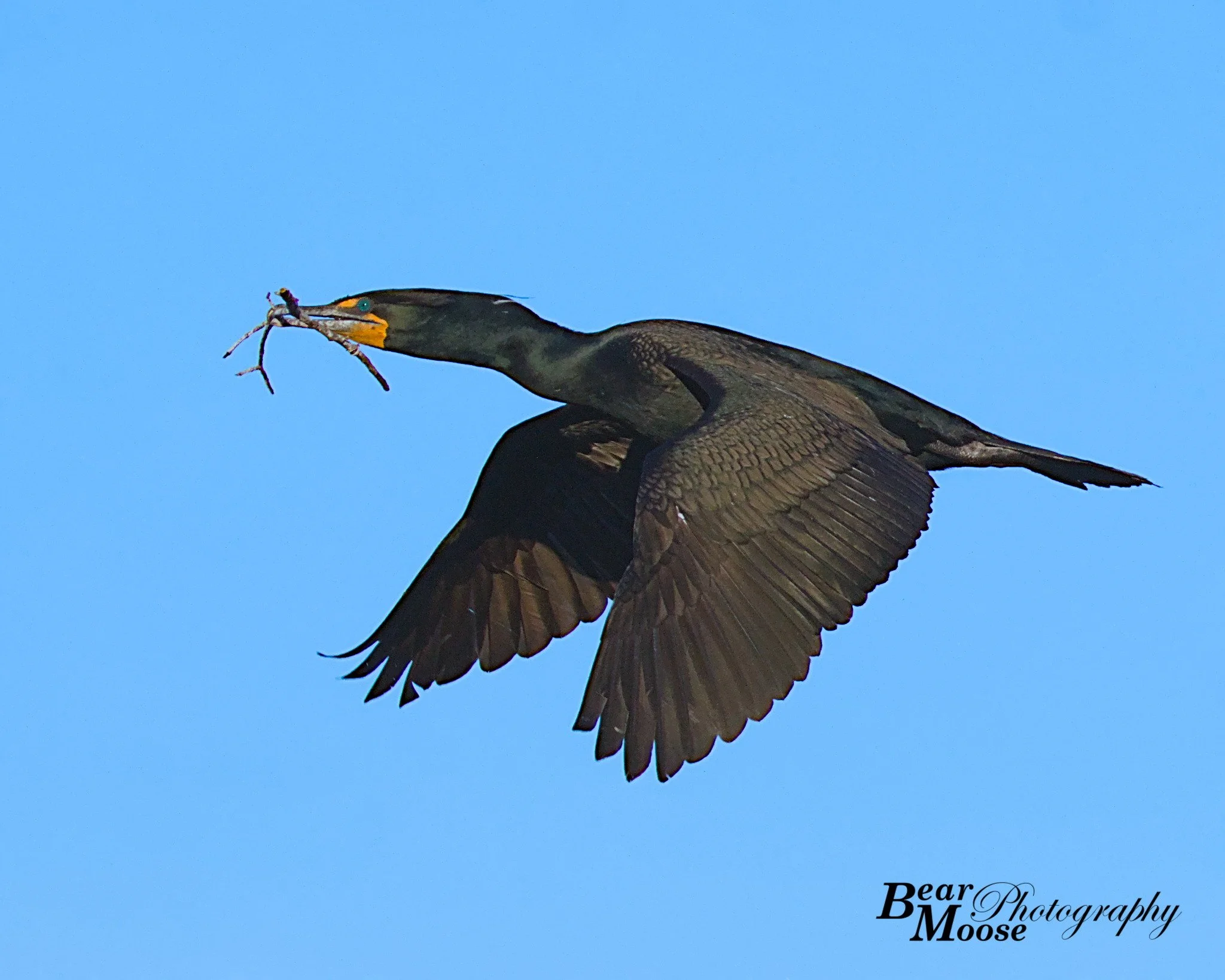 APRL0325_01 (8x10).jpg