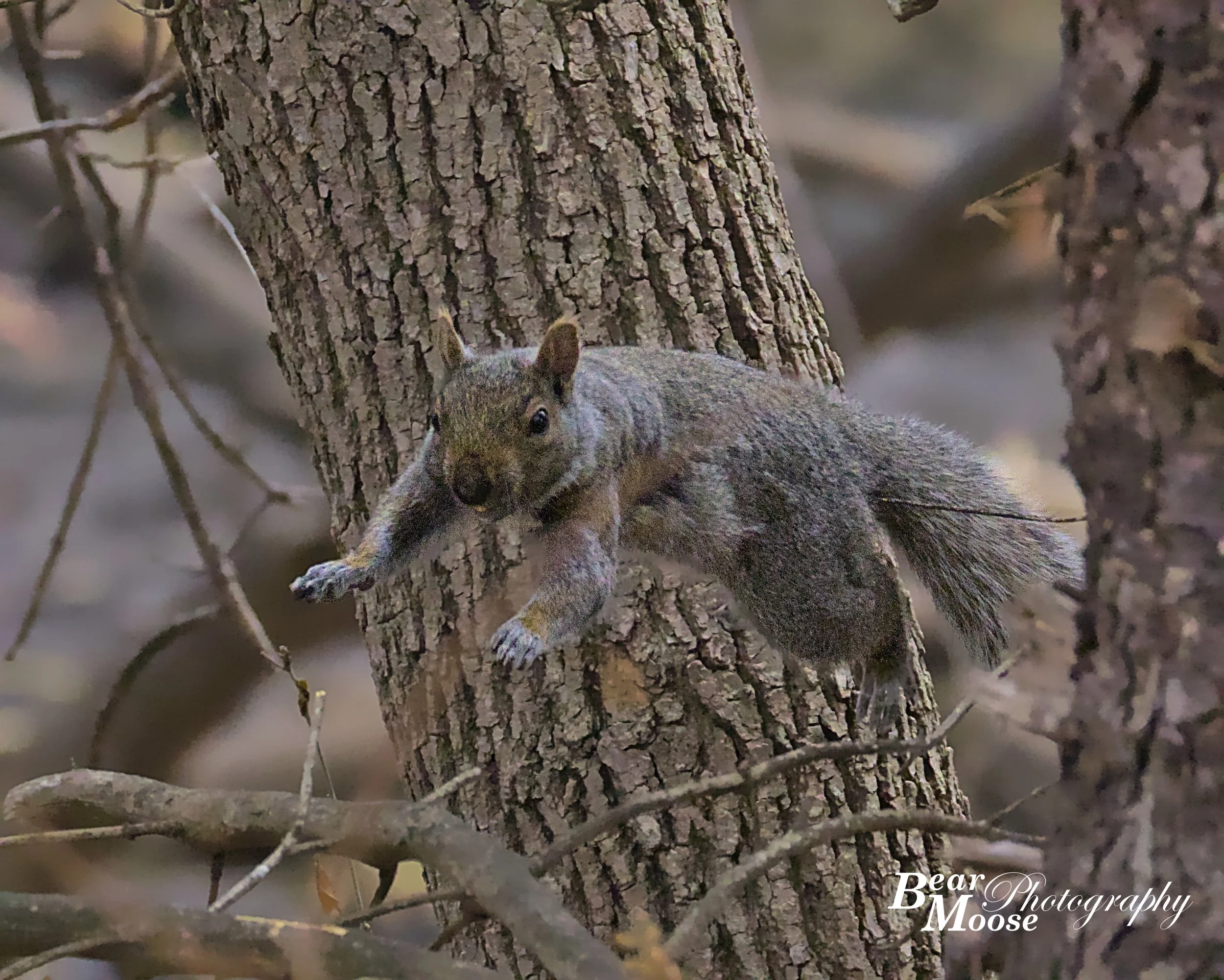 APRL2093_01 (8x10).jpg