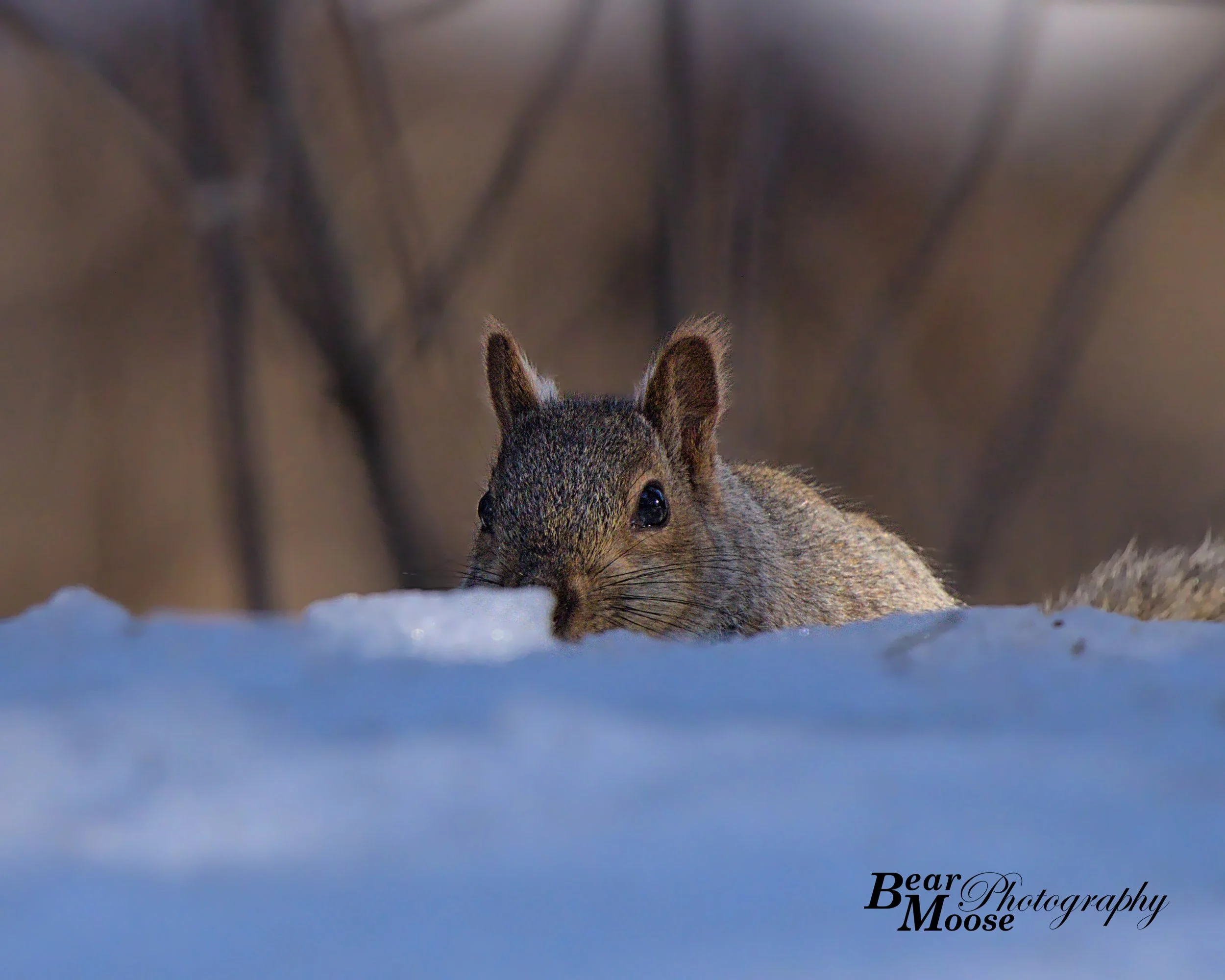 IMG_9061_01 (8x10).jpg