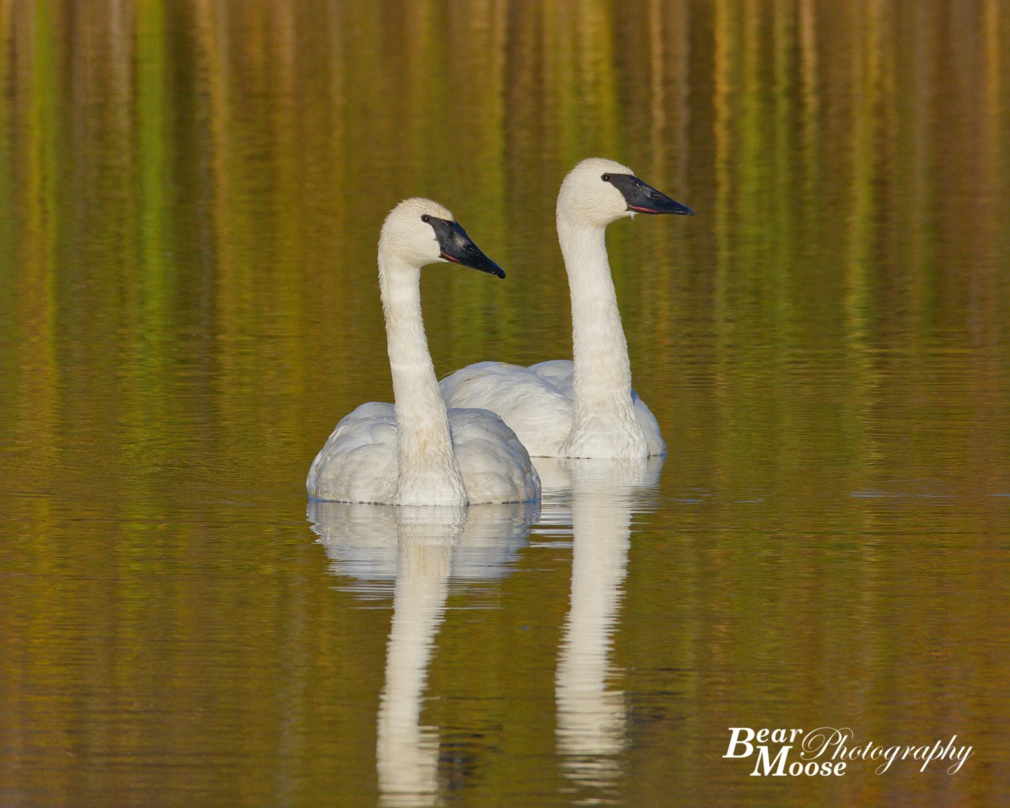 NOVH1407_01 (8x10).jpg