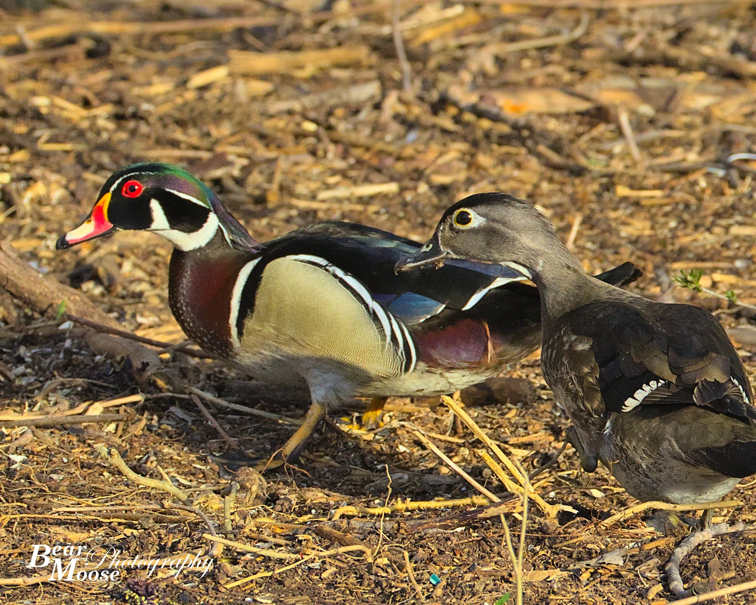 RKRY0128_01 (8x10).jpg