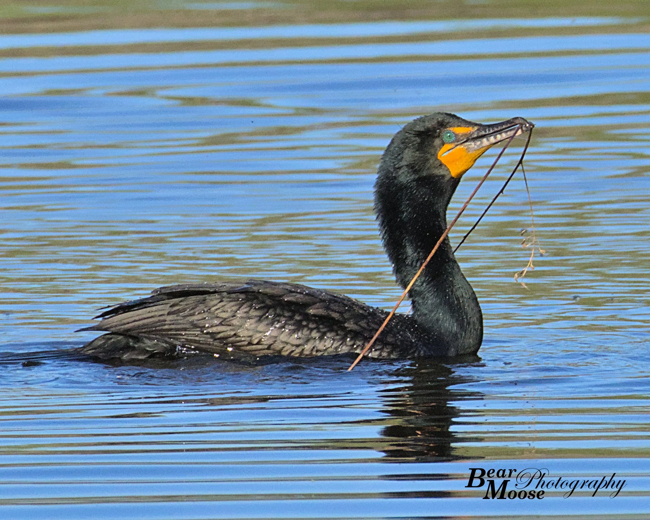 MAYY0111_01 (8x10).jpg