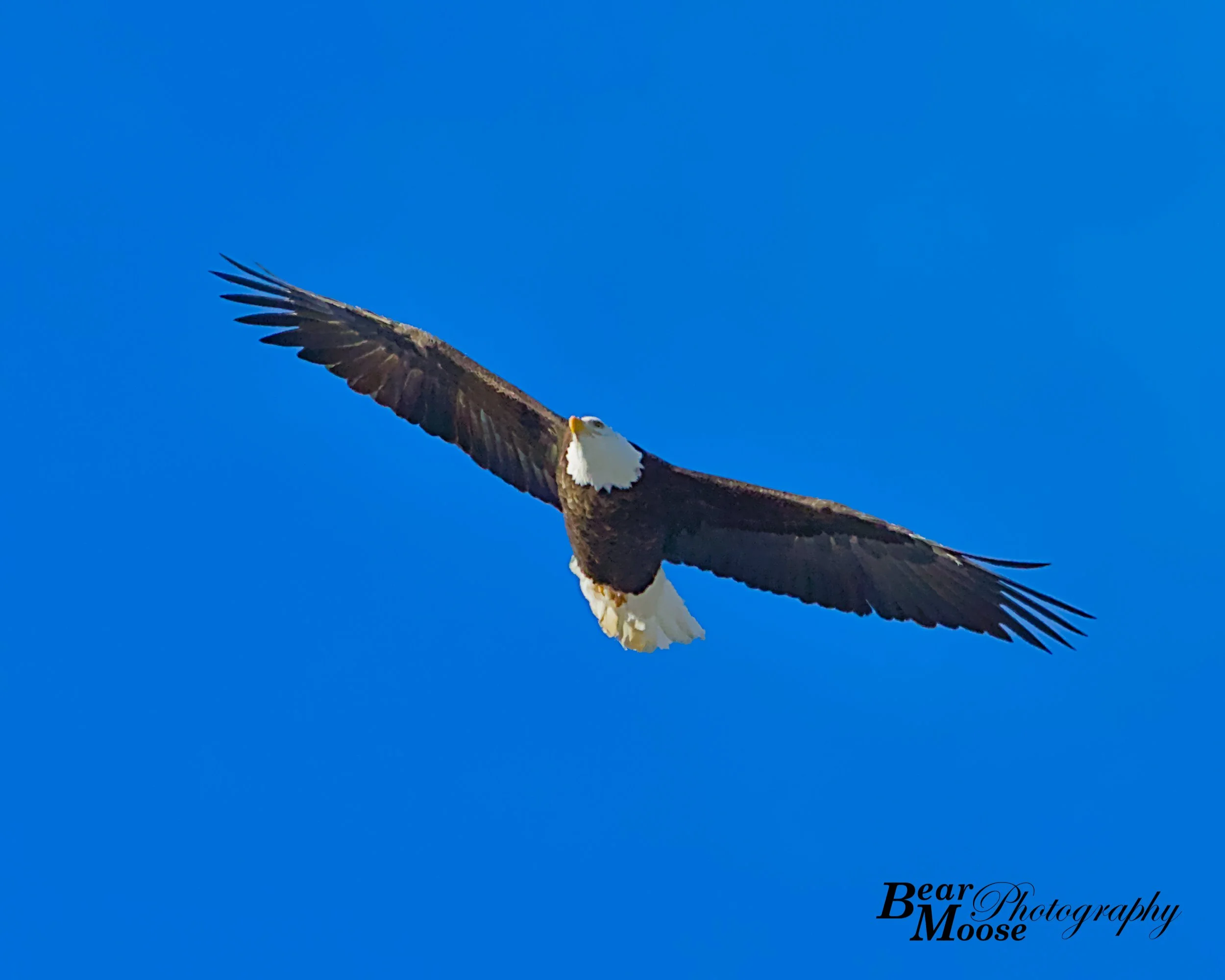 WBSH2037_01 (8x10).jpg