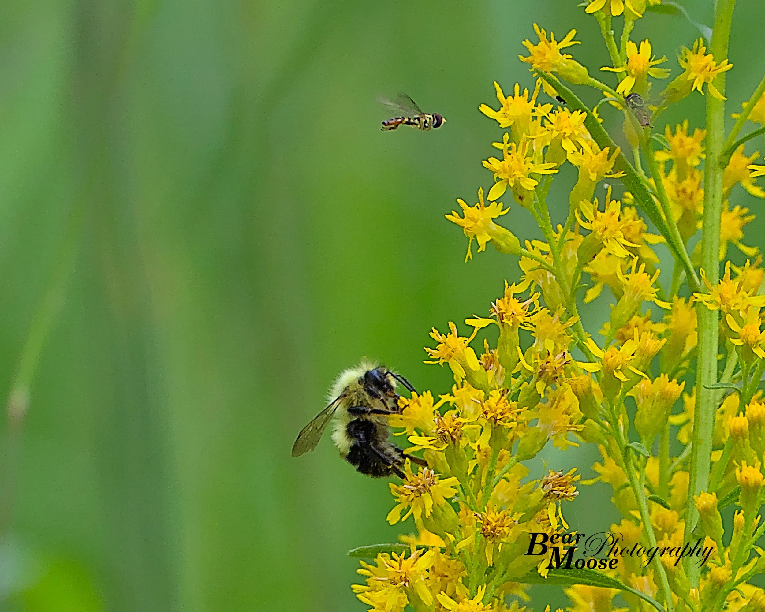 SBRN1428_01 (8x10).jpg