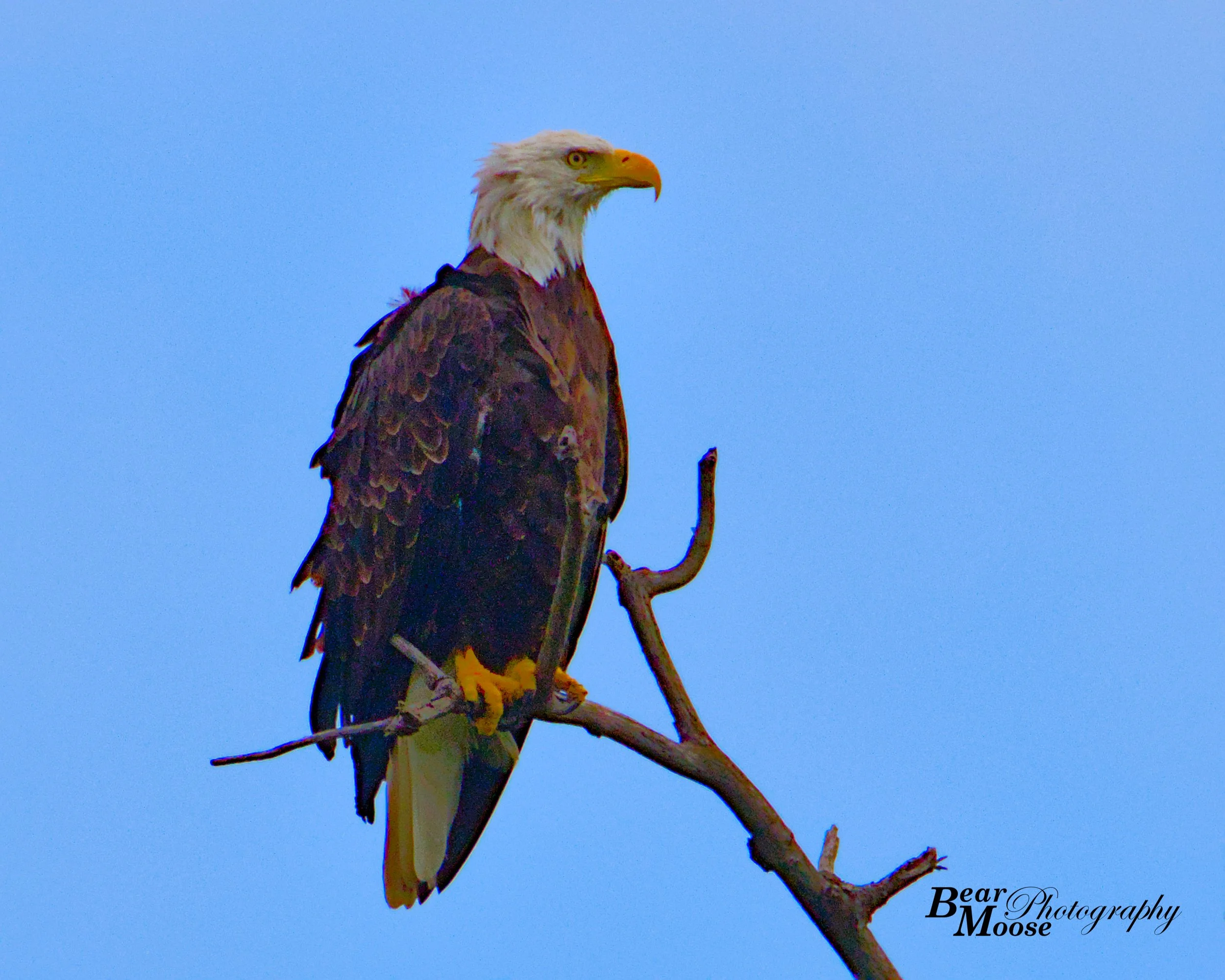 SBRN0756_01 (8x10).jpg