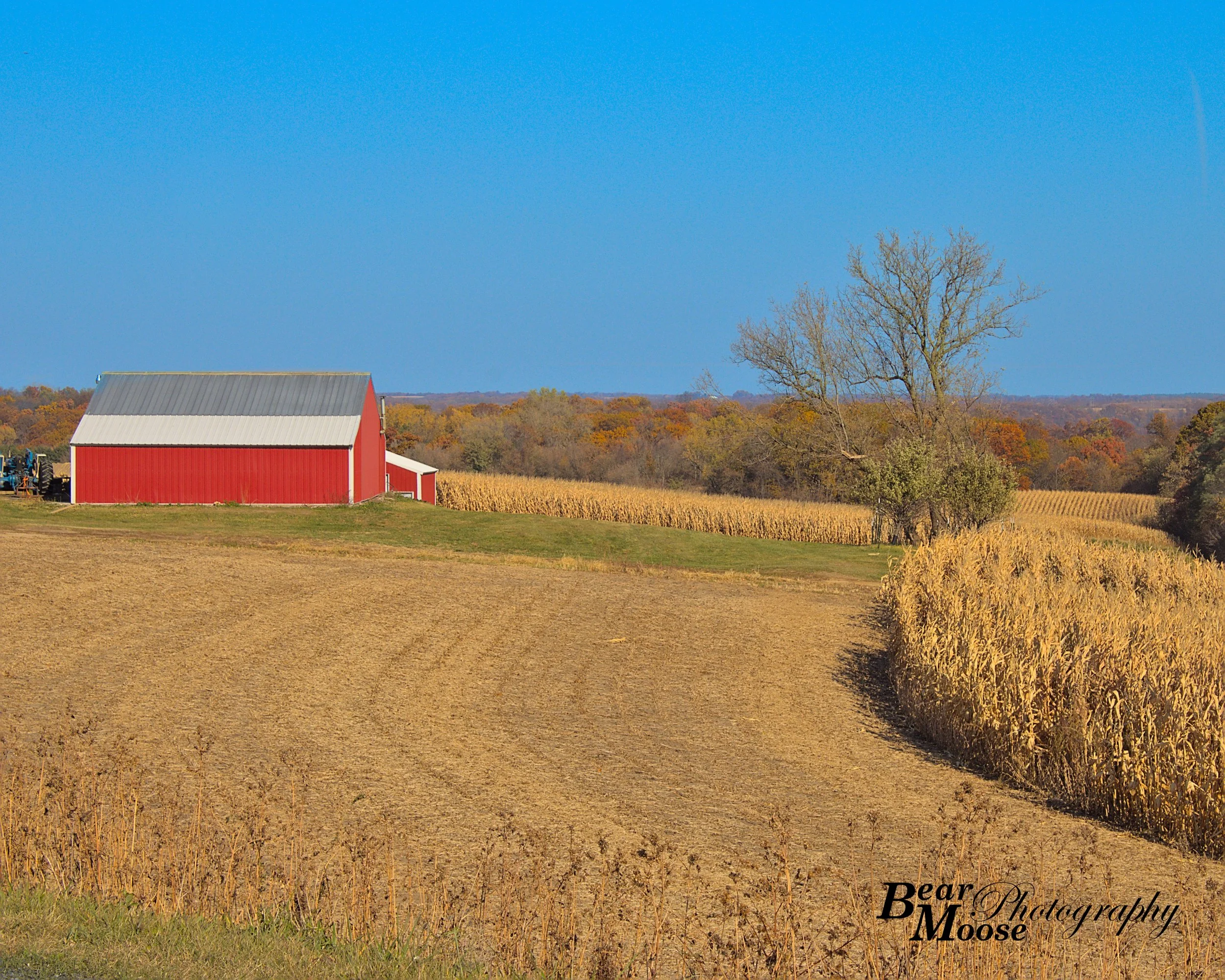 IMG_6069_01 (8x10).jpg