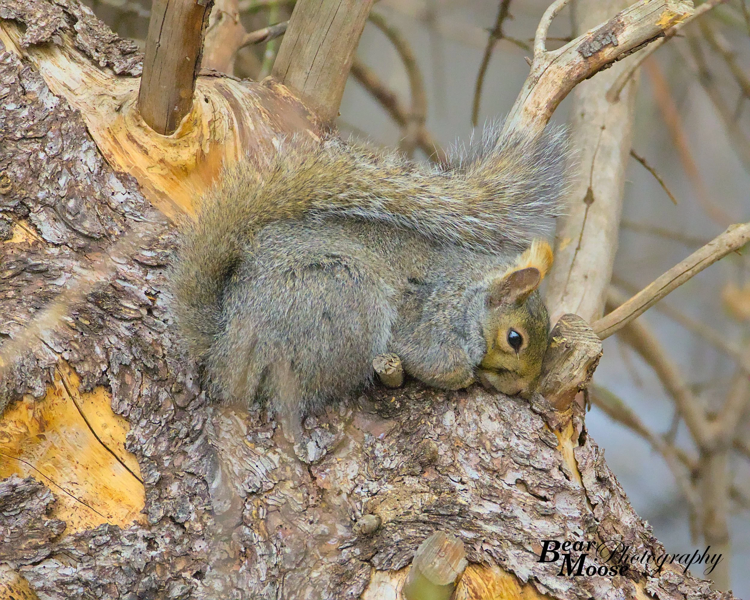 APRL0462_01 (8x10).jpg