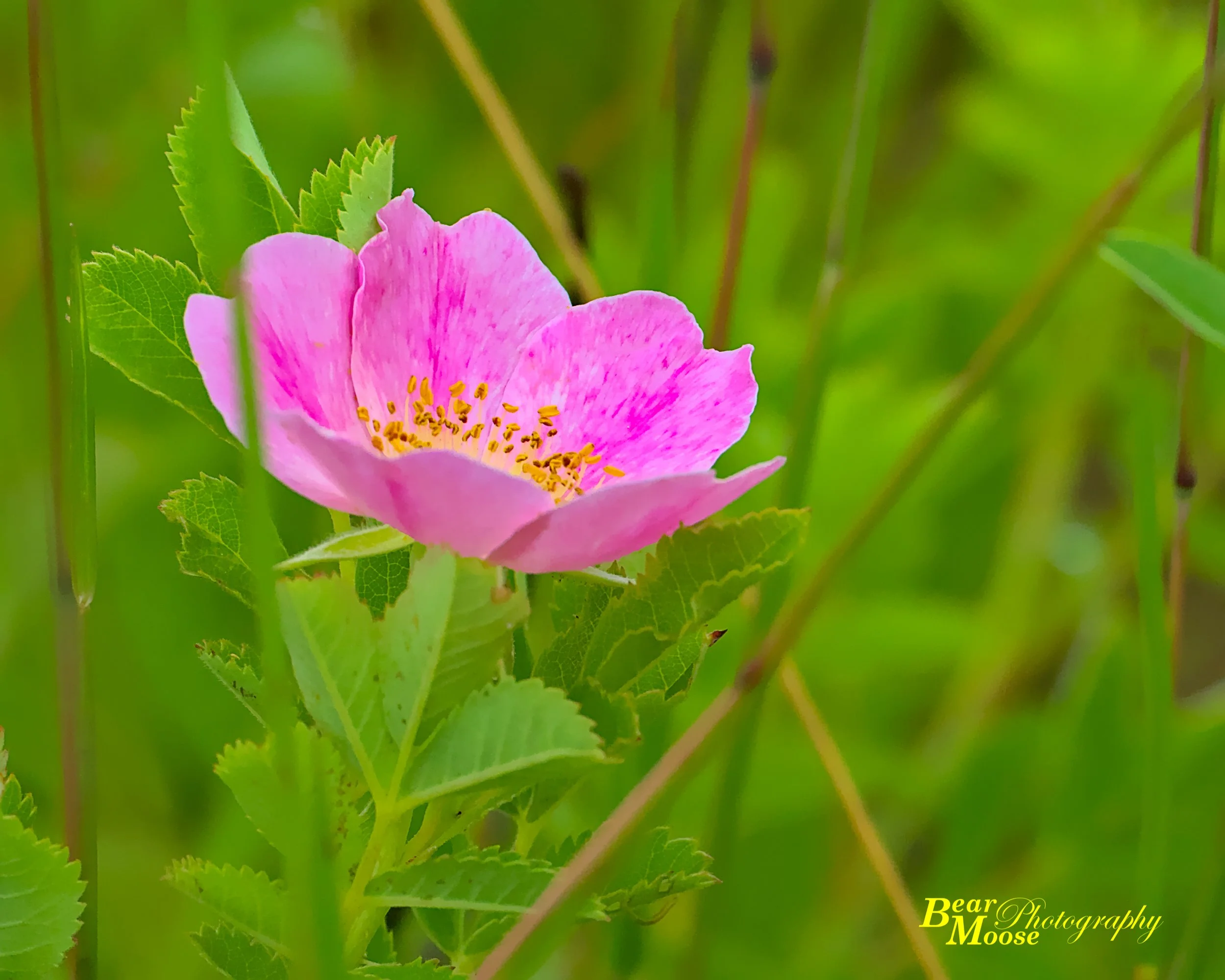 SBRN1117_01 (8x10).jpg