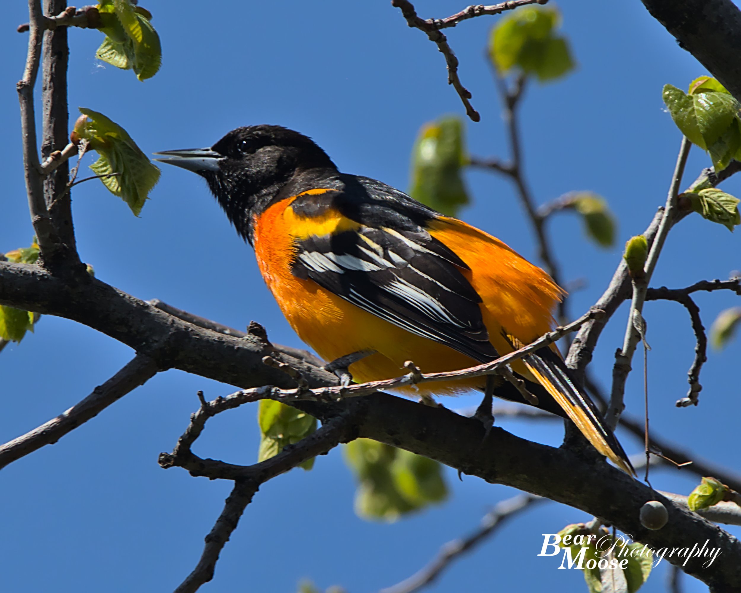 946A0848_01 (8x10).jpg