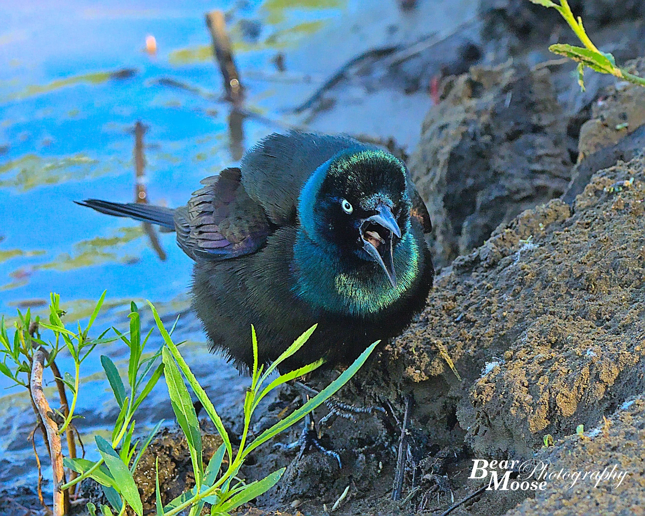 T7__5270_01 (8x10).jpg