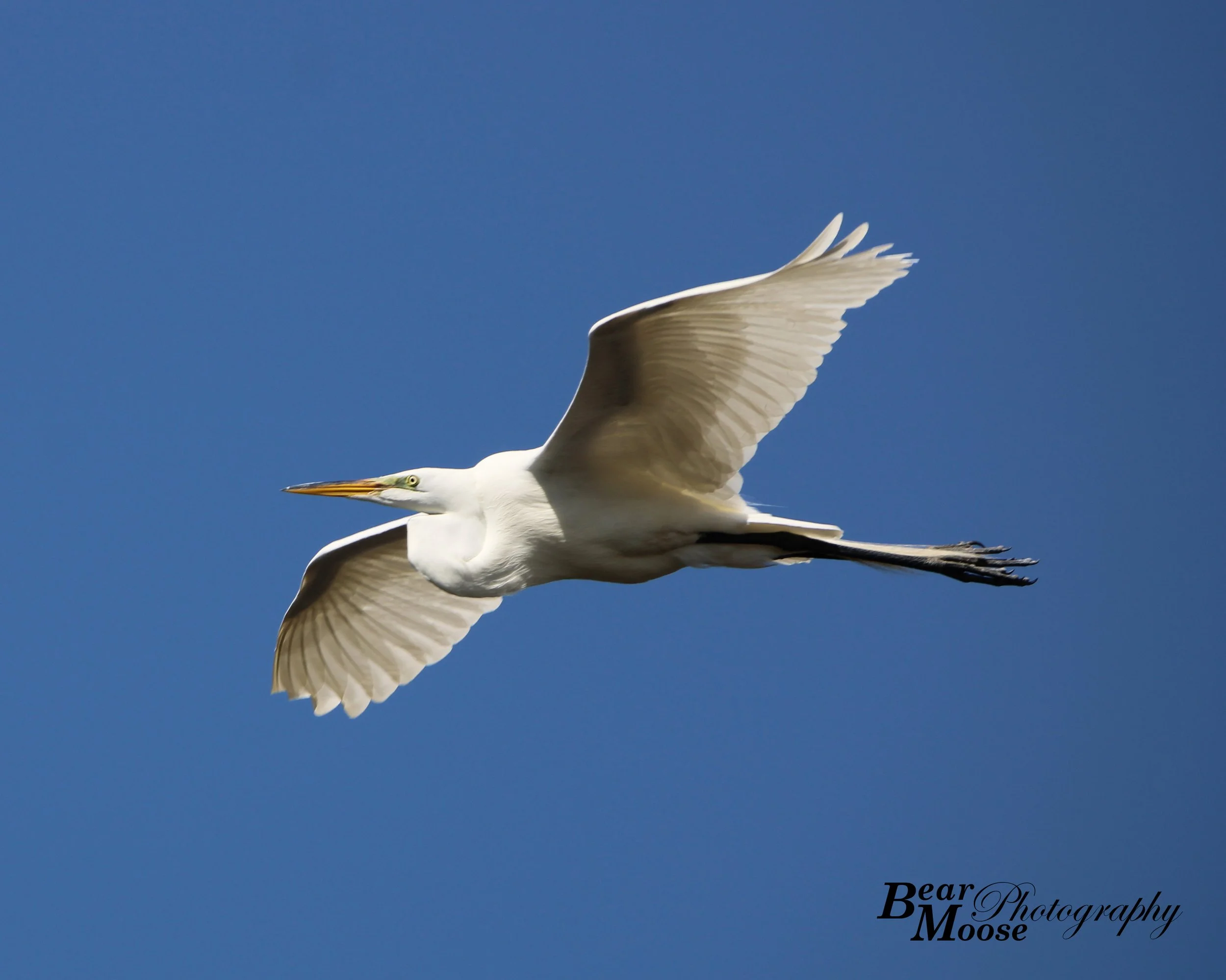 IMG_3114_02 (8x10).jpg