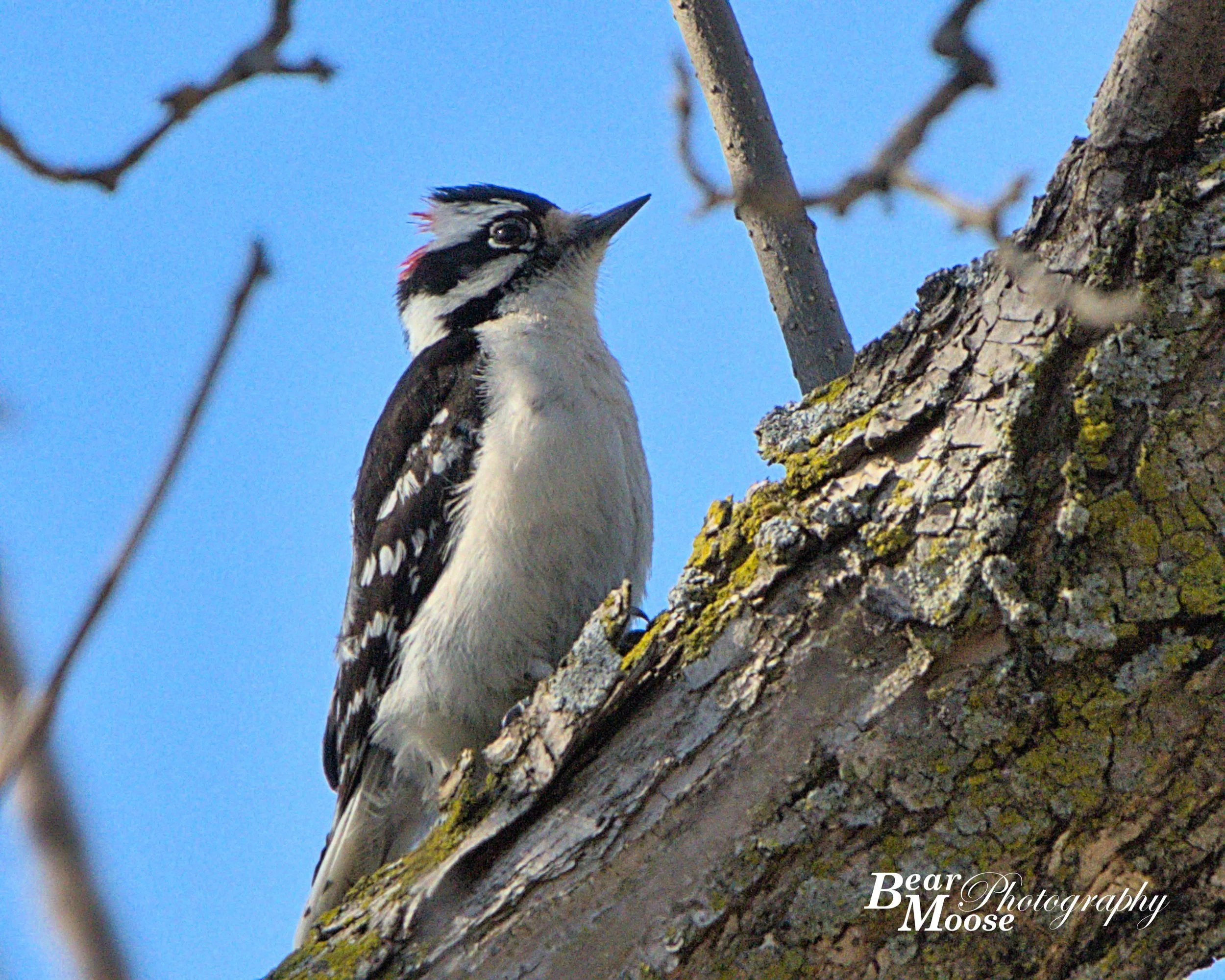 IMG_1513_01 (8x10).jpg