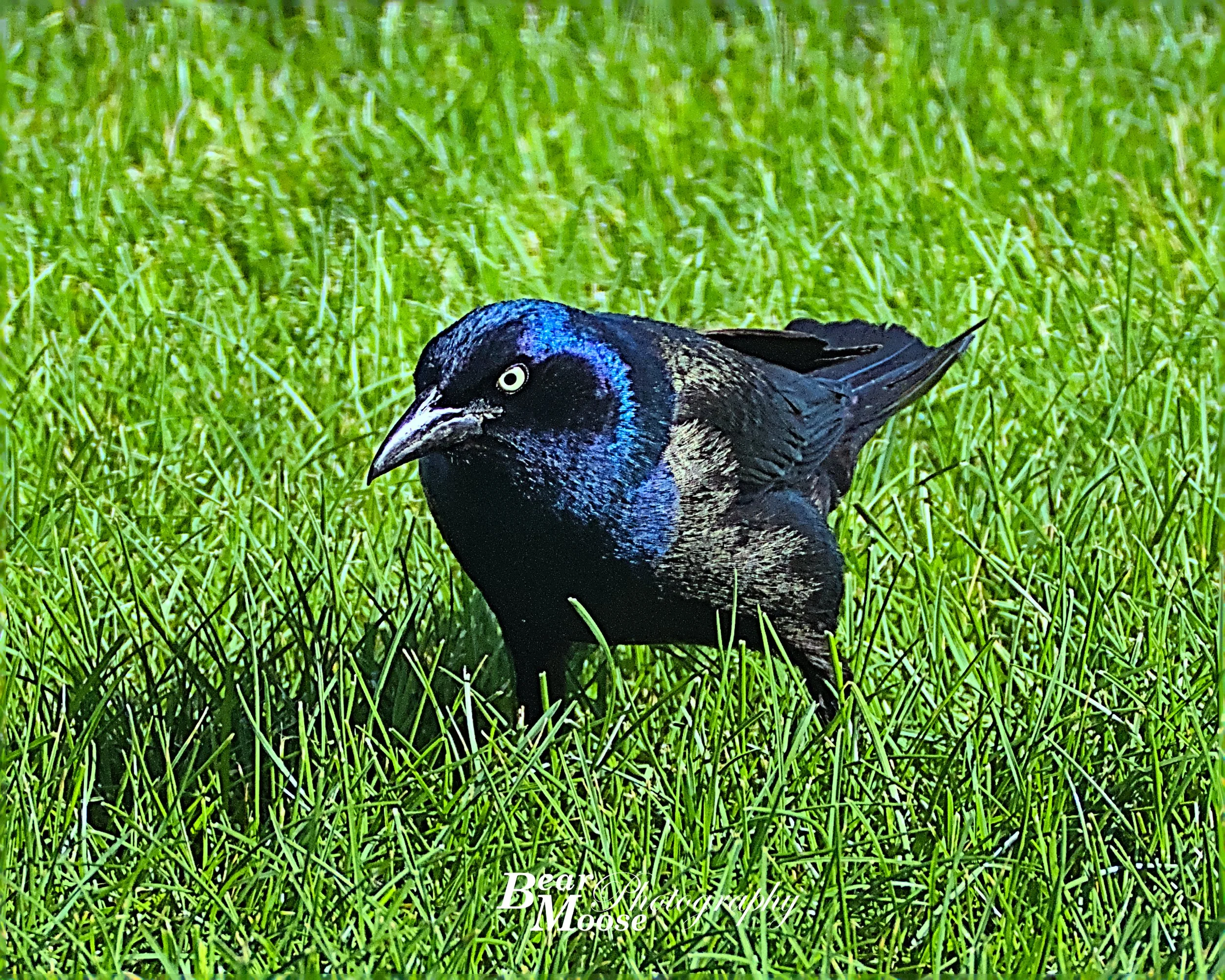 VIZA0592_01 (8x10).jpg