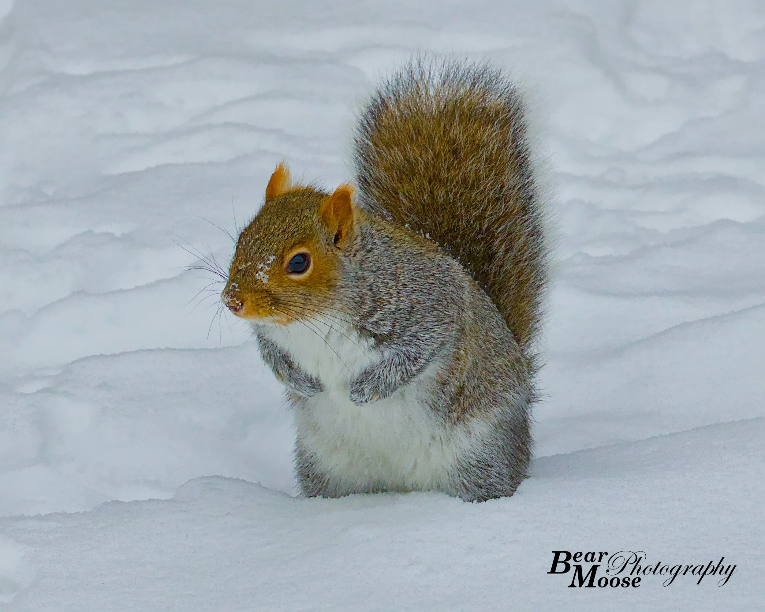 WBSH0589_01 (8x10).jpg