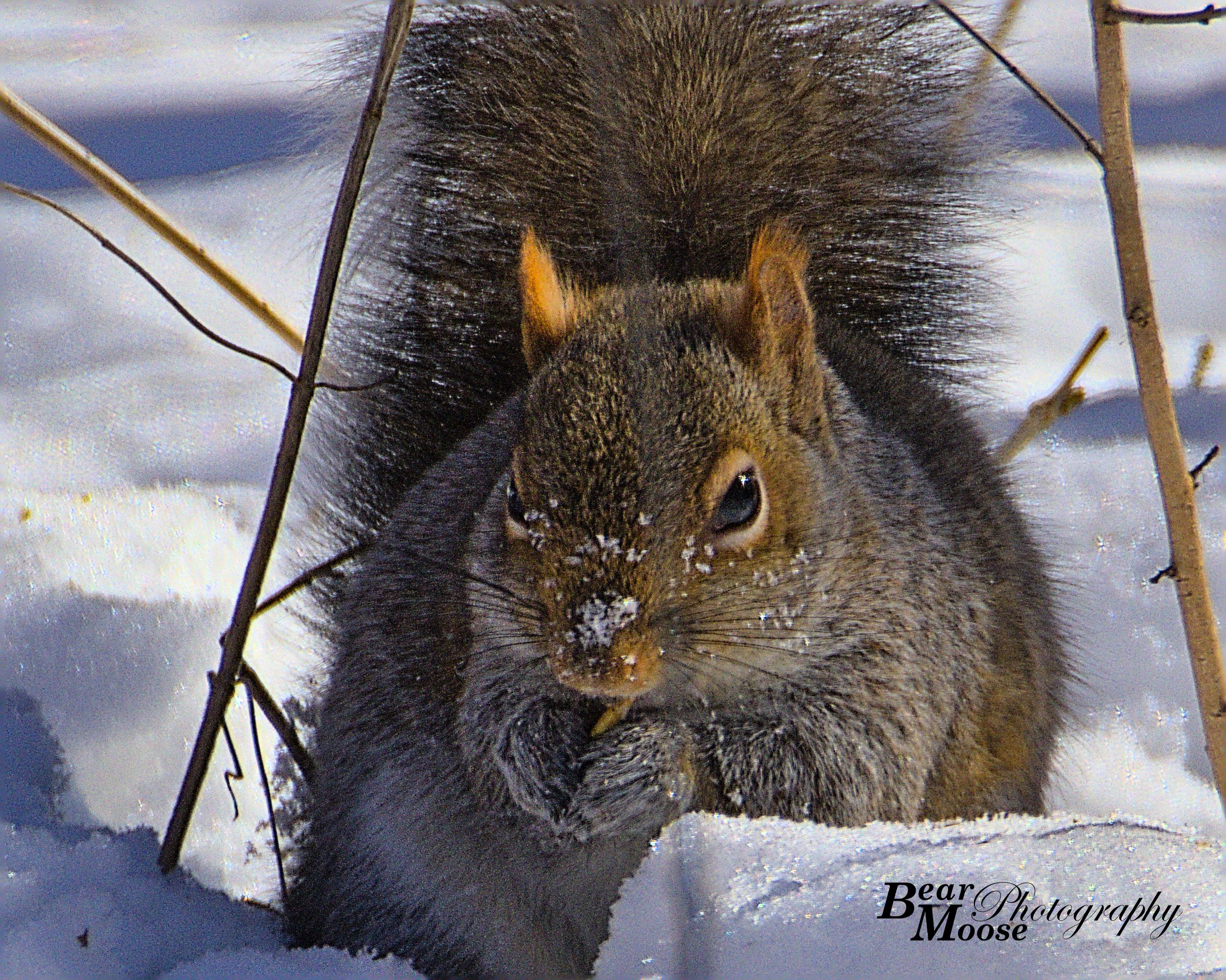 _46A1158_01 (8x10).jpg