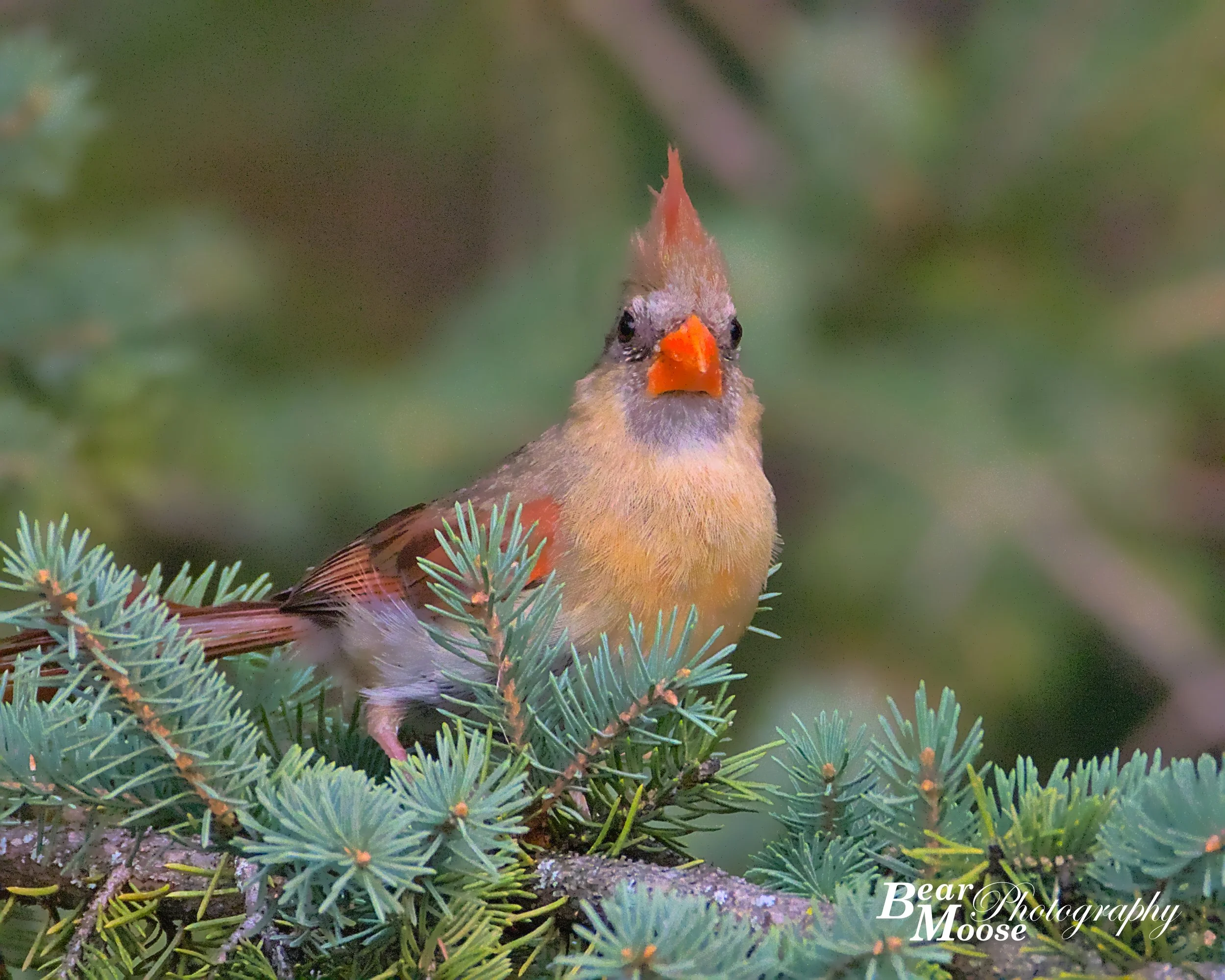 DLTH0252_01 (8x10).jpg