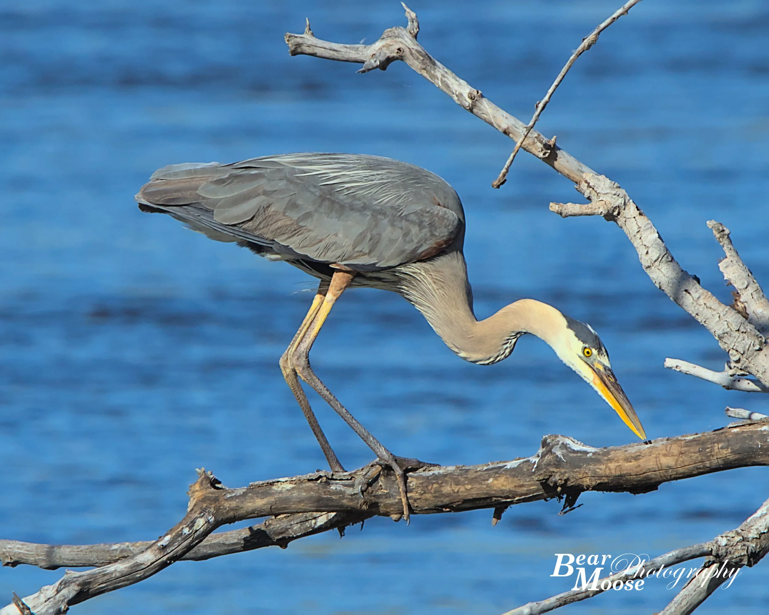 06HM3860_01 (8x10).jpg