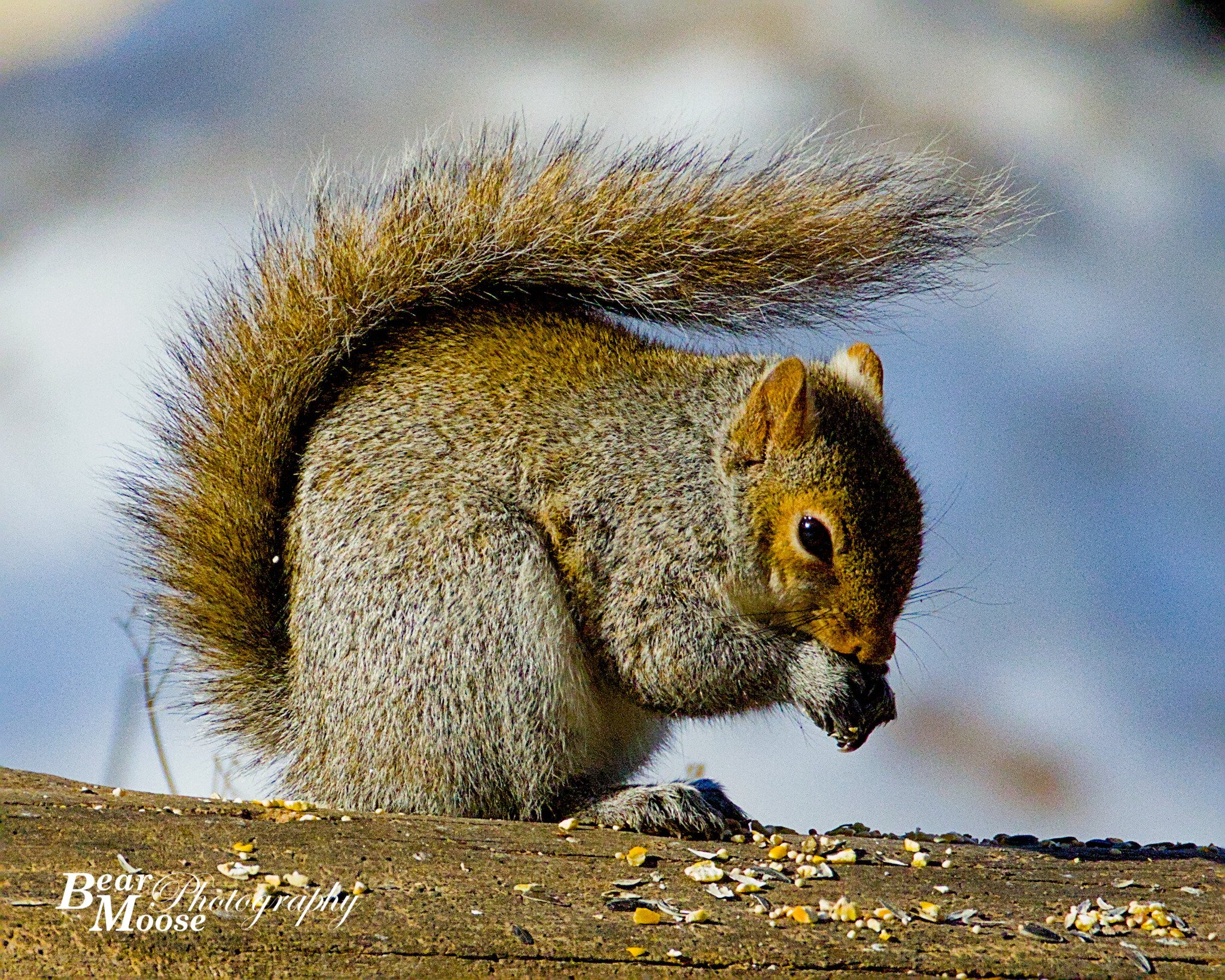 FEBR0512_01 (8x10).jpg