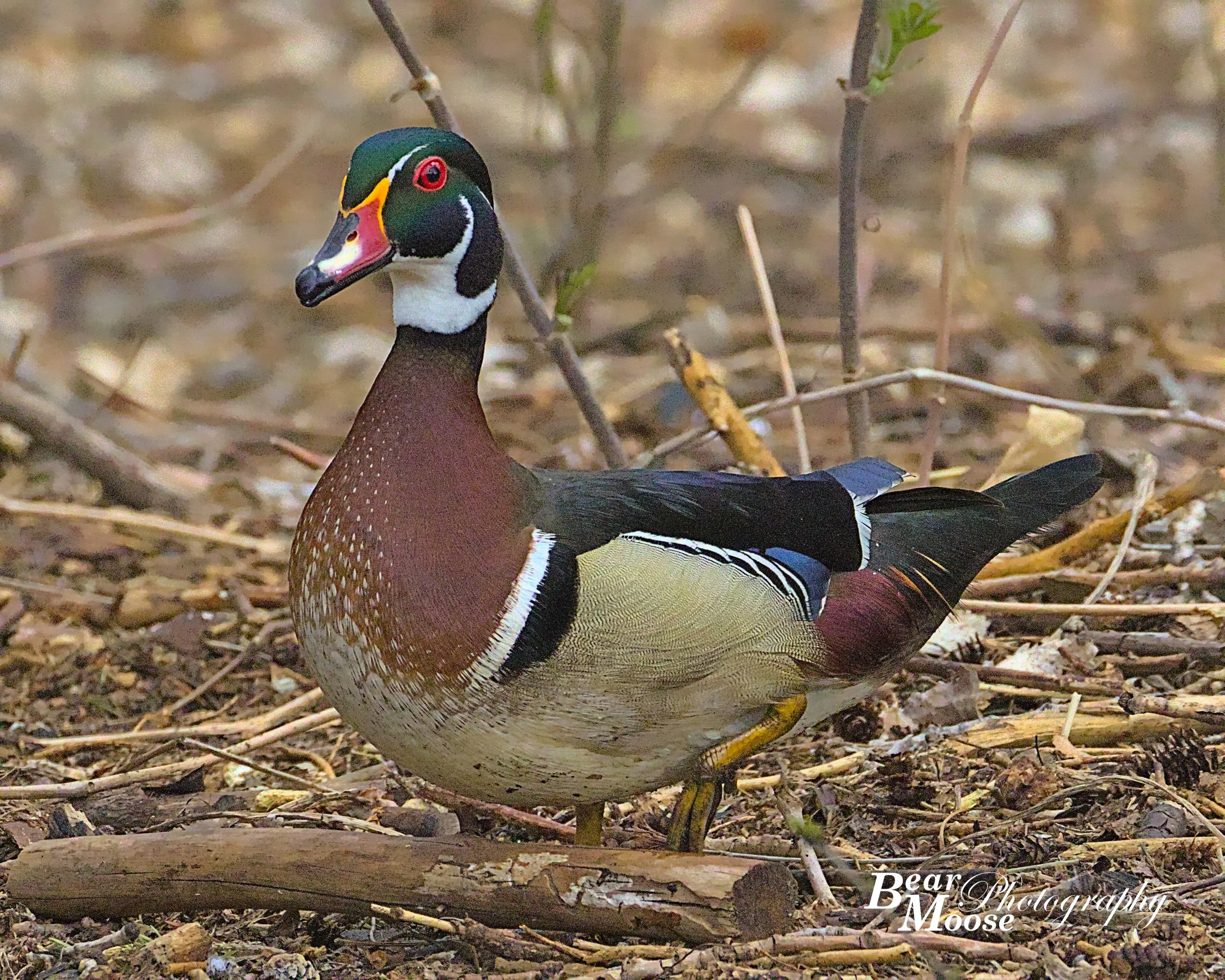 APRL0864_01 (8x10).jpg