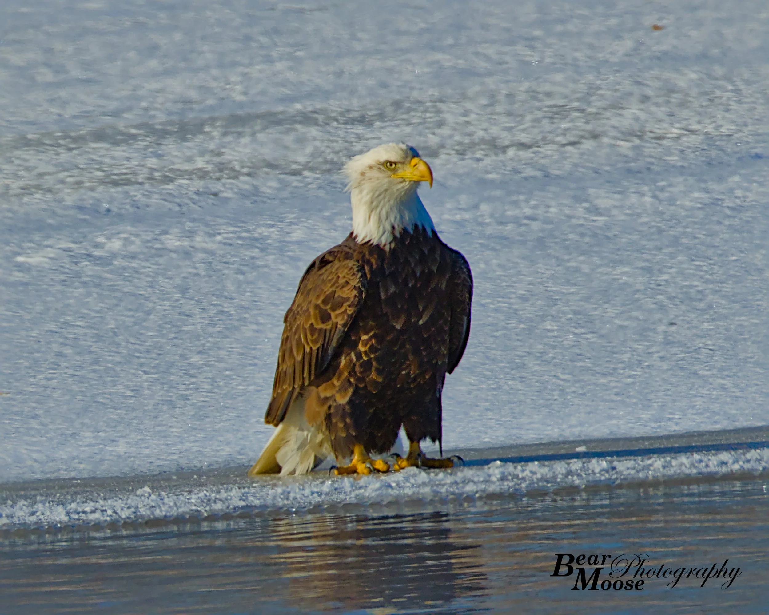 WBSH2207_01 (8x10).jpg