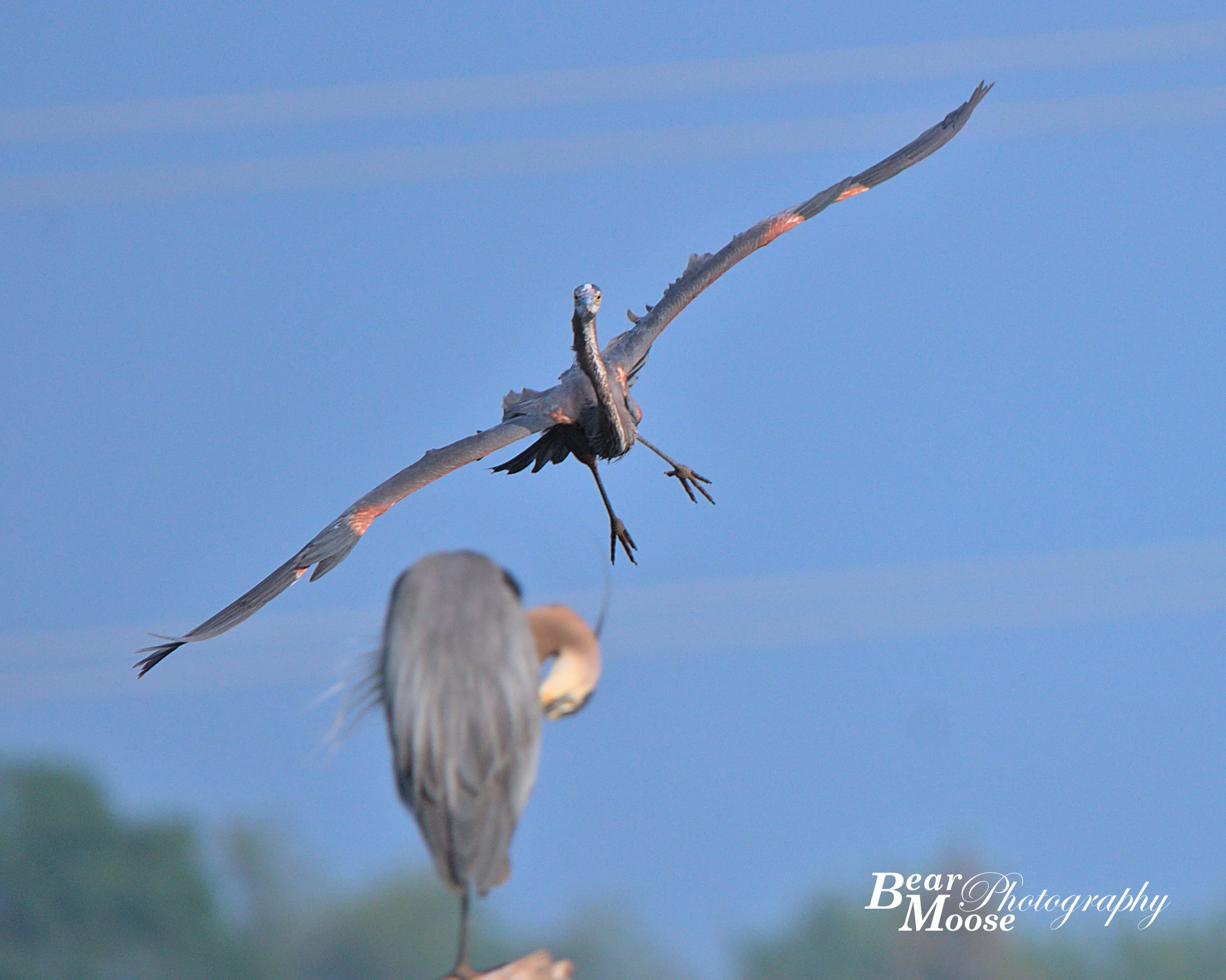 IMG_5730_01 (8x10).jpg