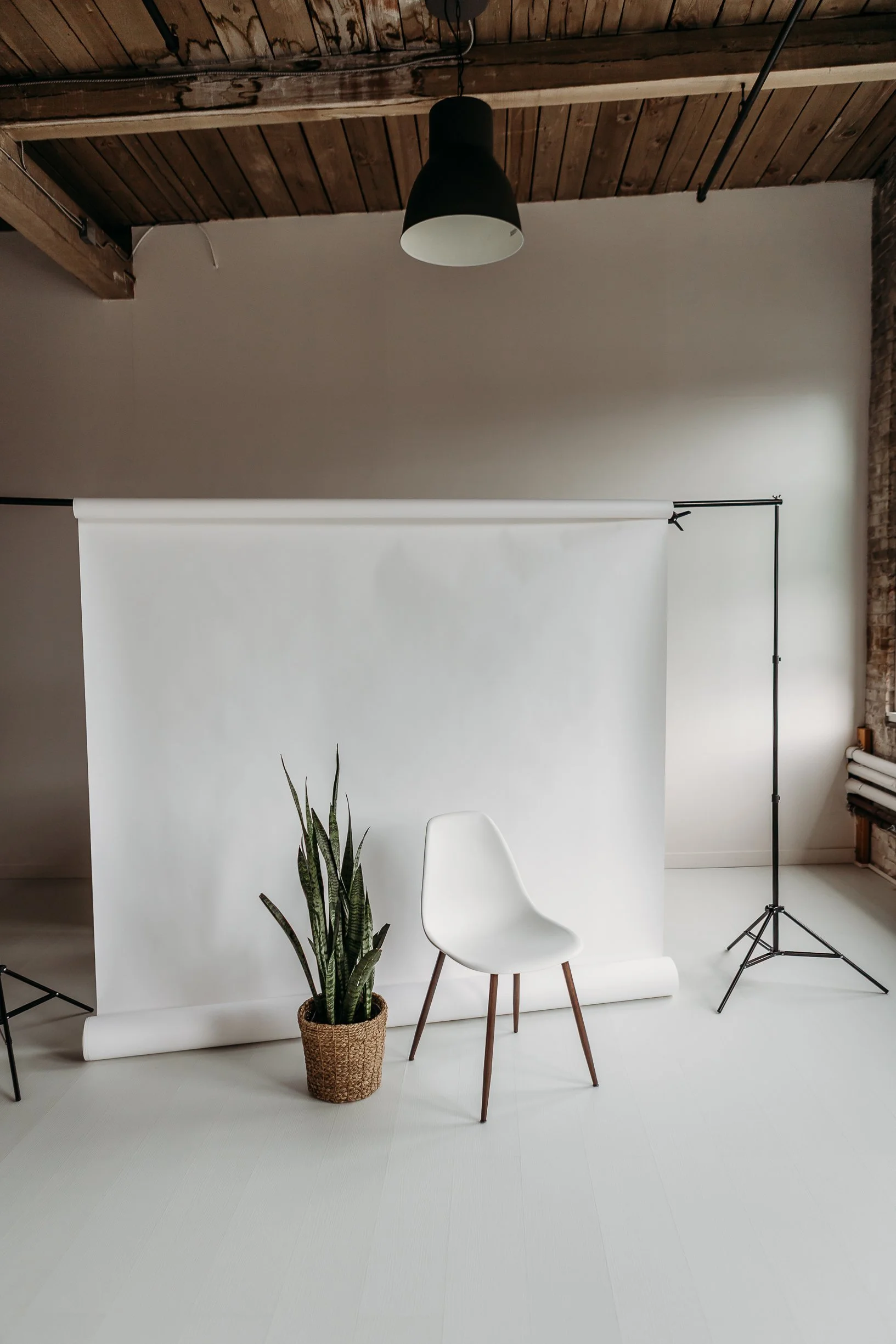 White 86” Seamless Backdrop