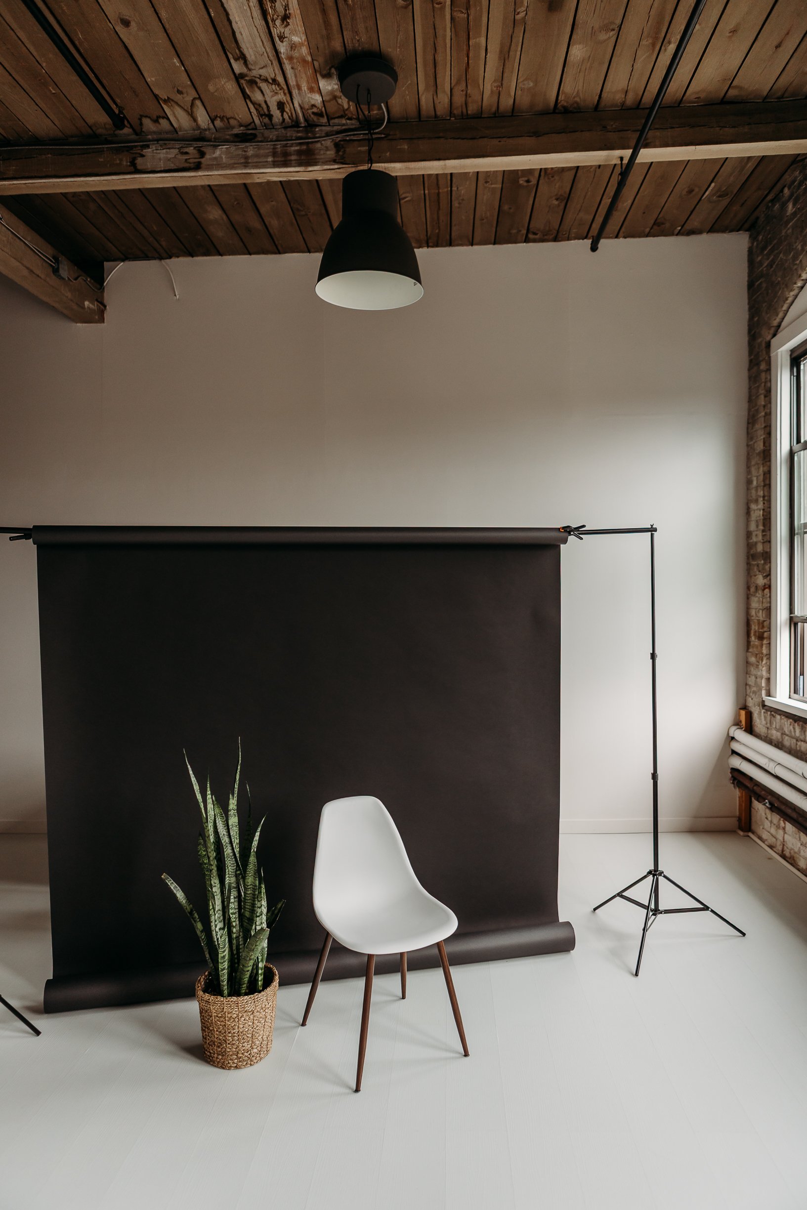 Black 86” Seamless Backdrop