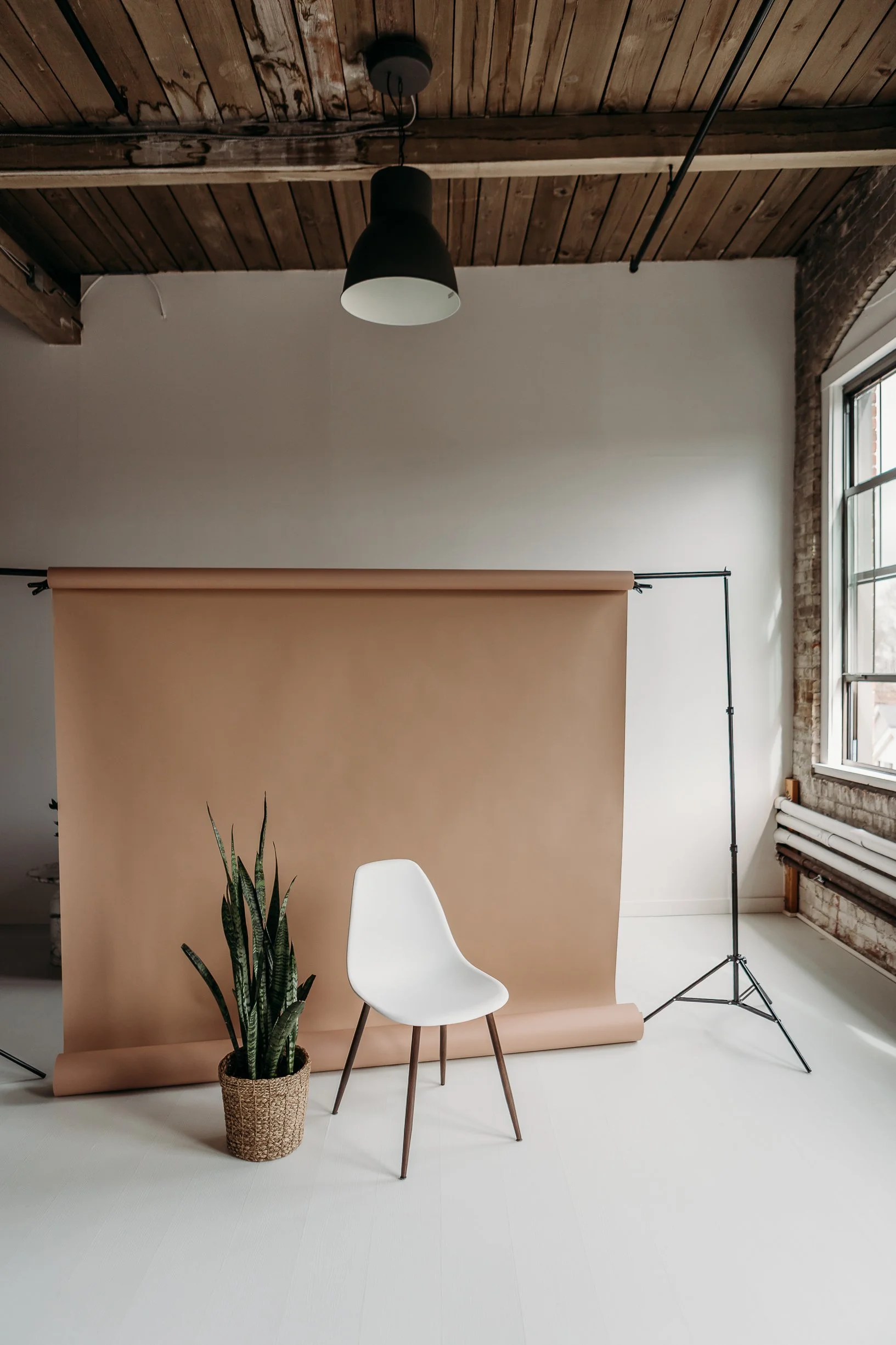 Mocha 86” Seamless Backdrop