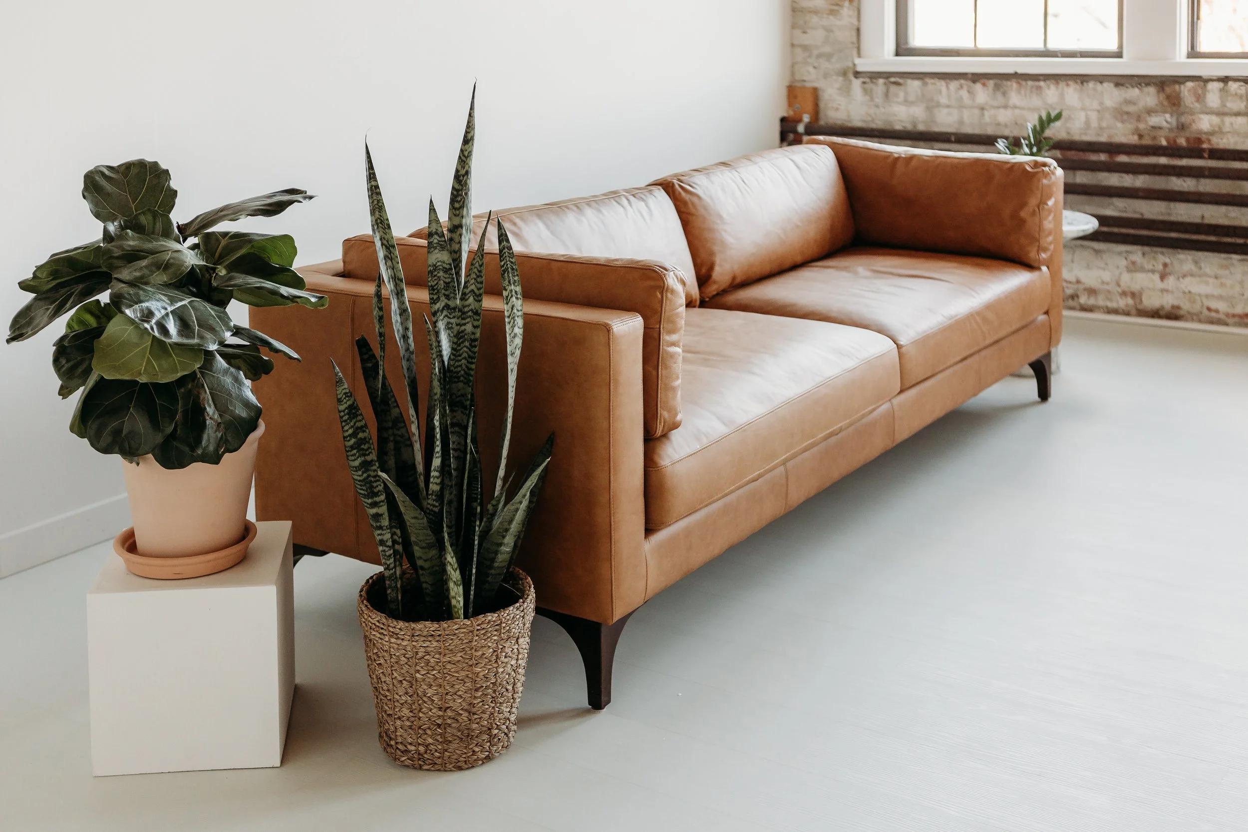 Natural Light Photography Studio Central MA_C46A3681.jpg