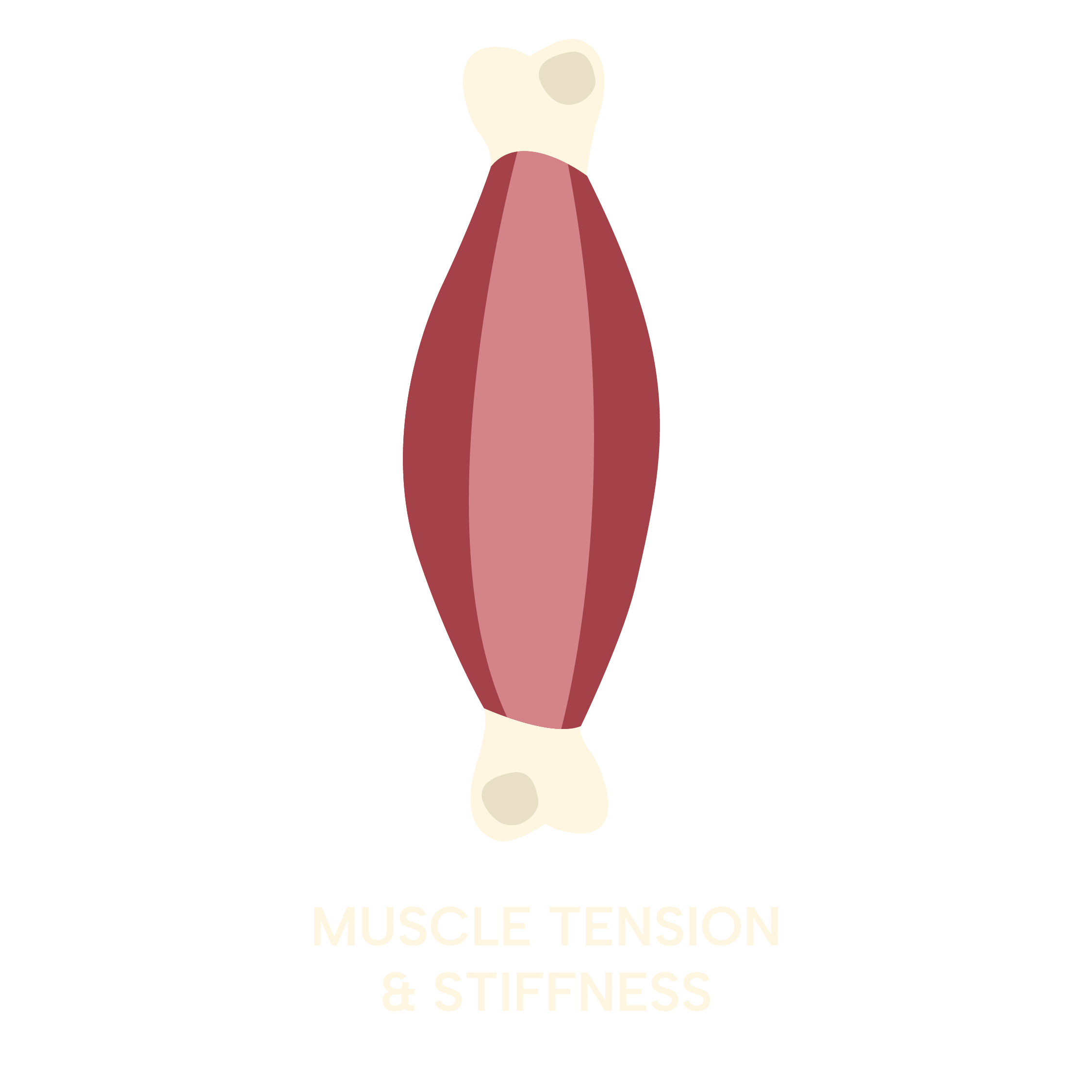 osteopathy-icon-muscle-tension.png
