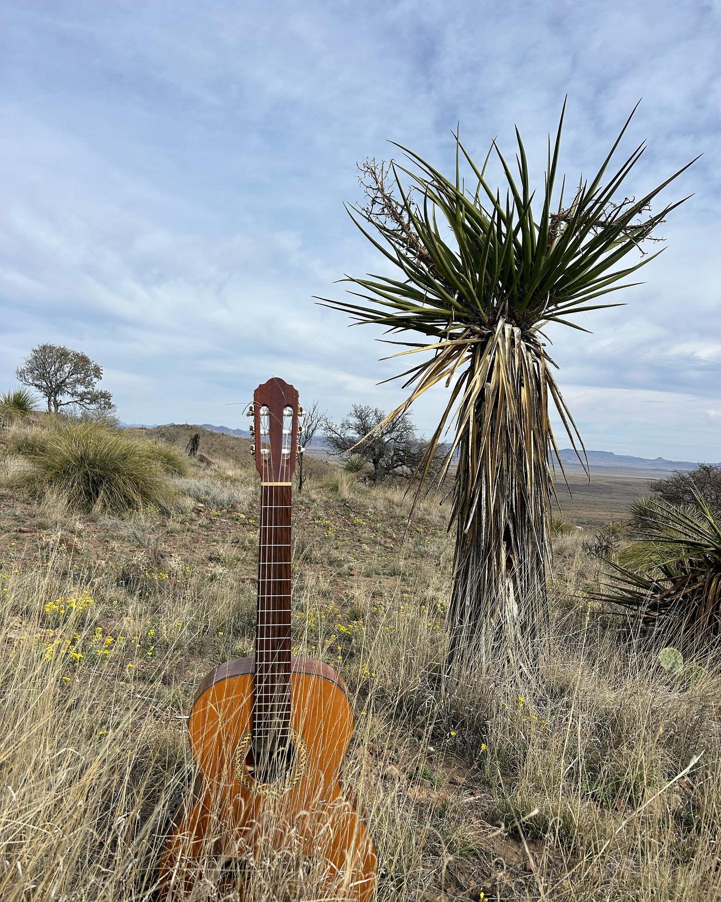 Guitar in the Big Bend is growing from the ground up.