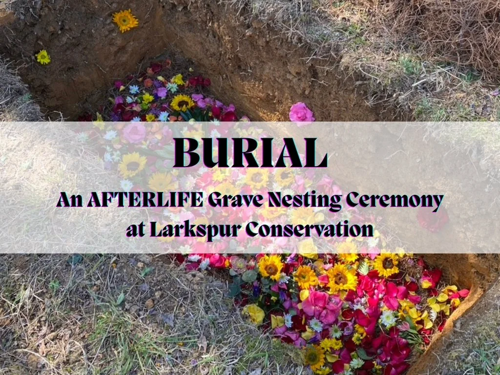 Burial-2.jpg
