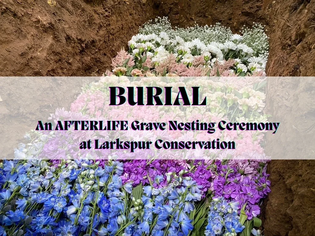 Burial-1.jpg