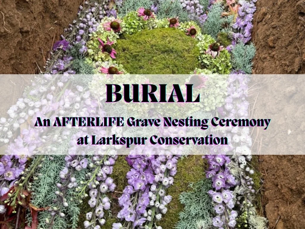 Burial-3.jpg
