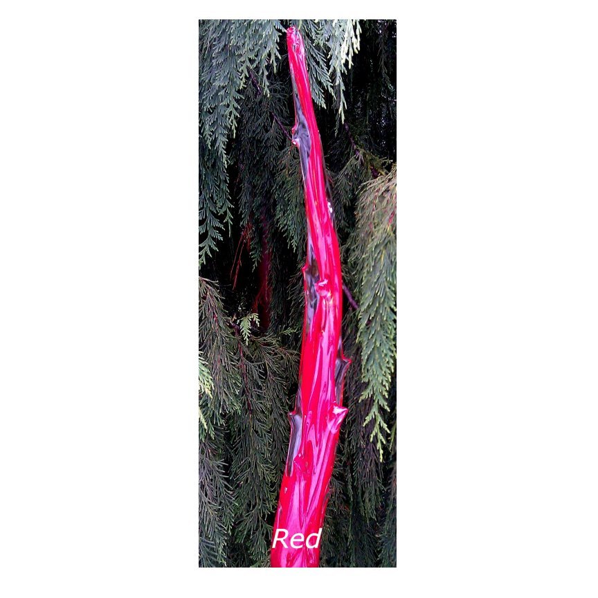 redglacss.jpg