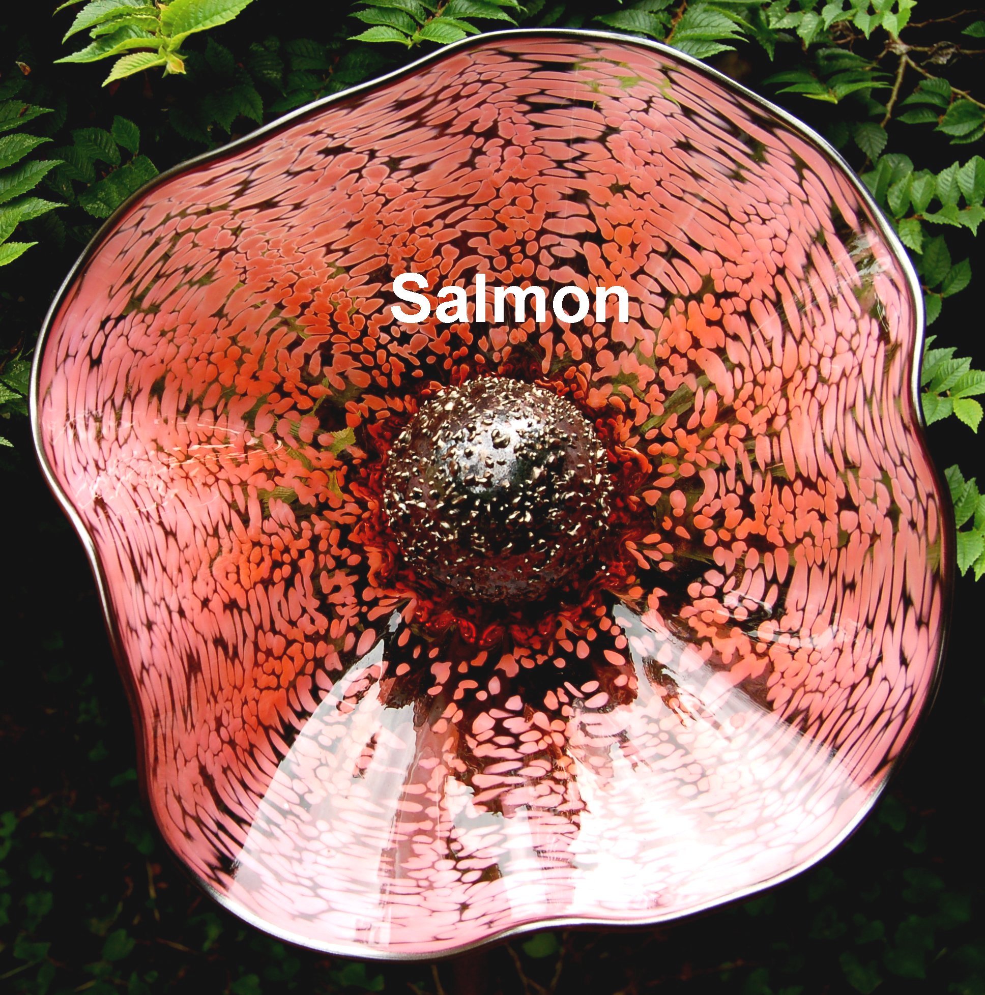 salmon.jpg