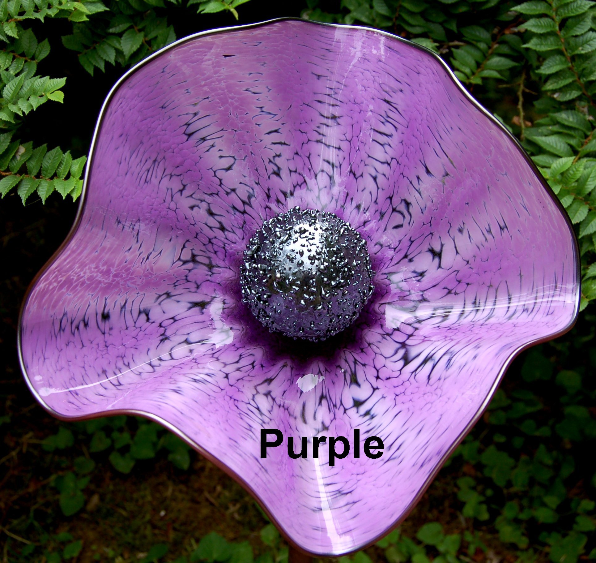purple.jpg