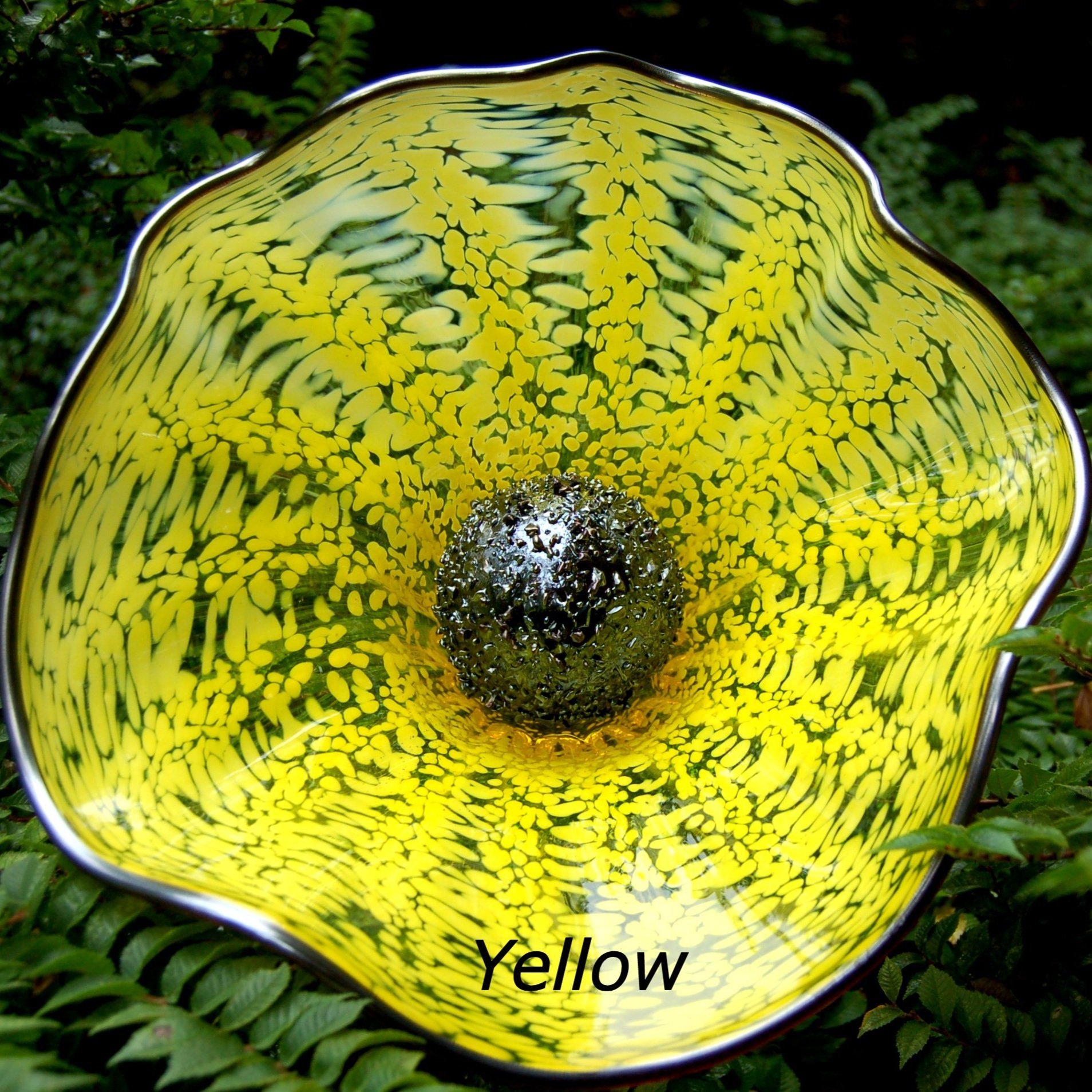 yellowflower.jpg