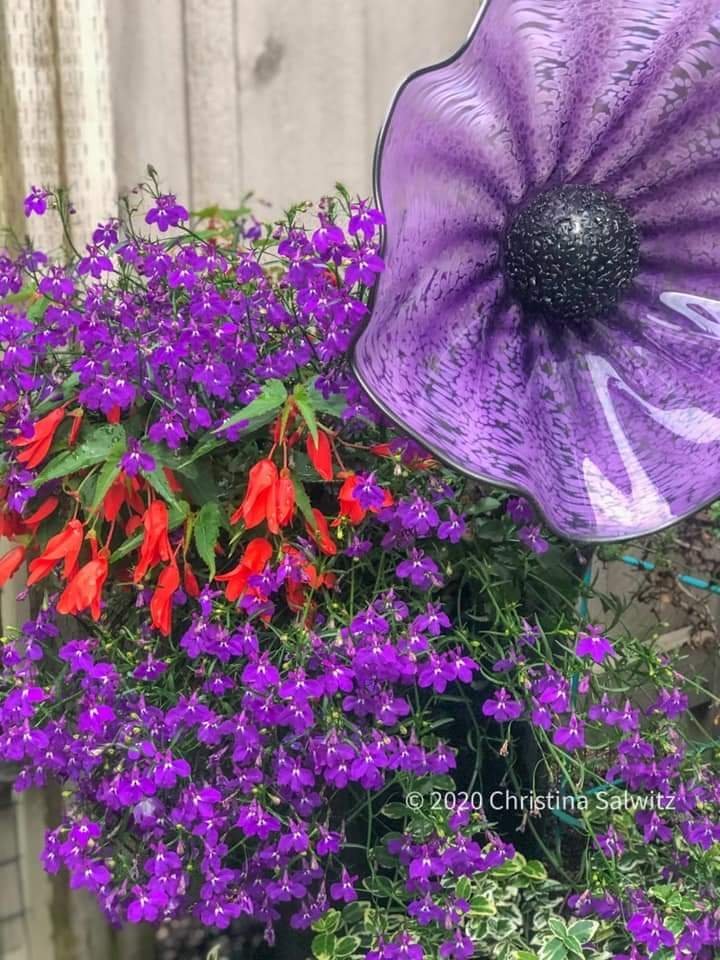purpflowerchristina.jpg