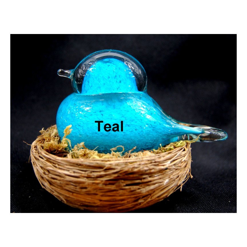 tealbirdss.jpg