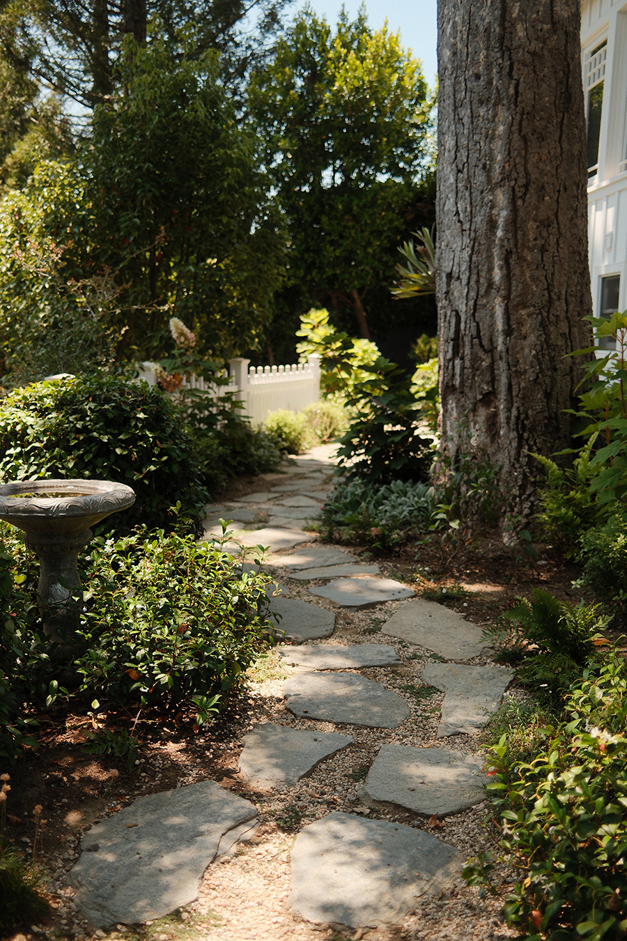 Fairy_Path_resized.png
