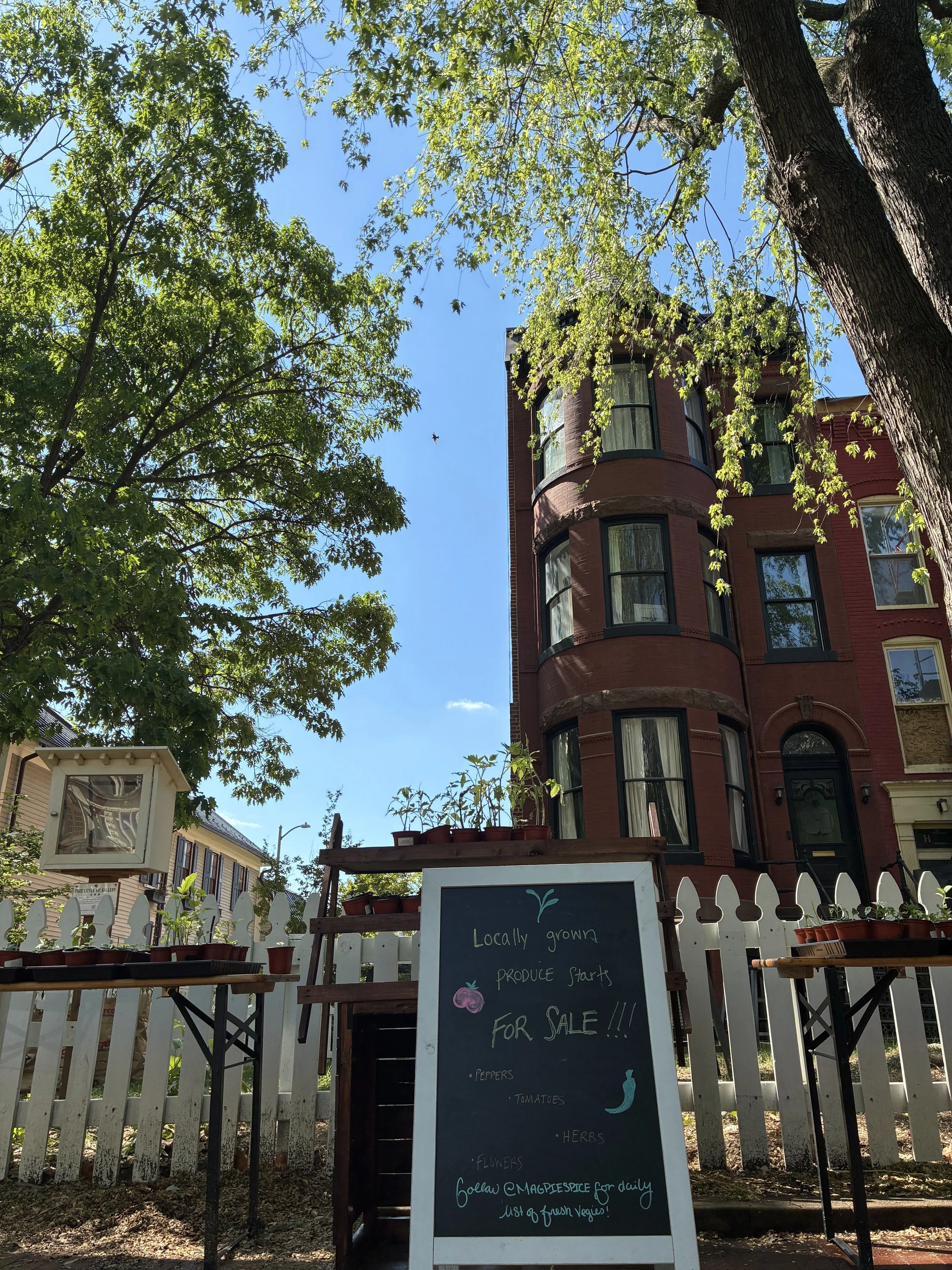 Capitol Hill Yard Sale Extravaganza