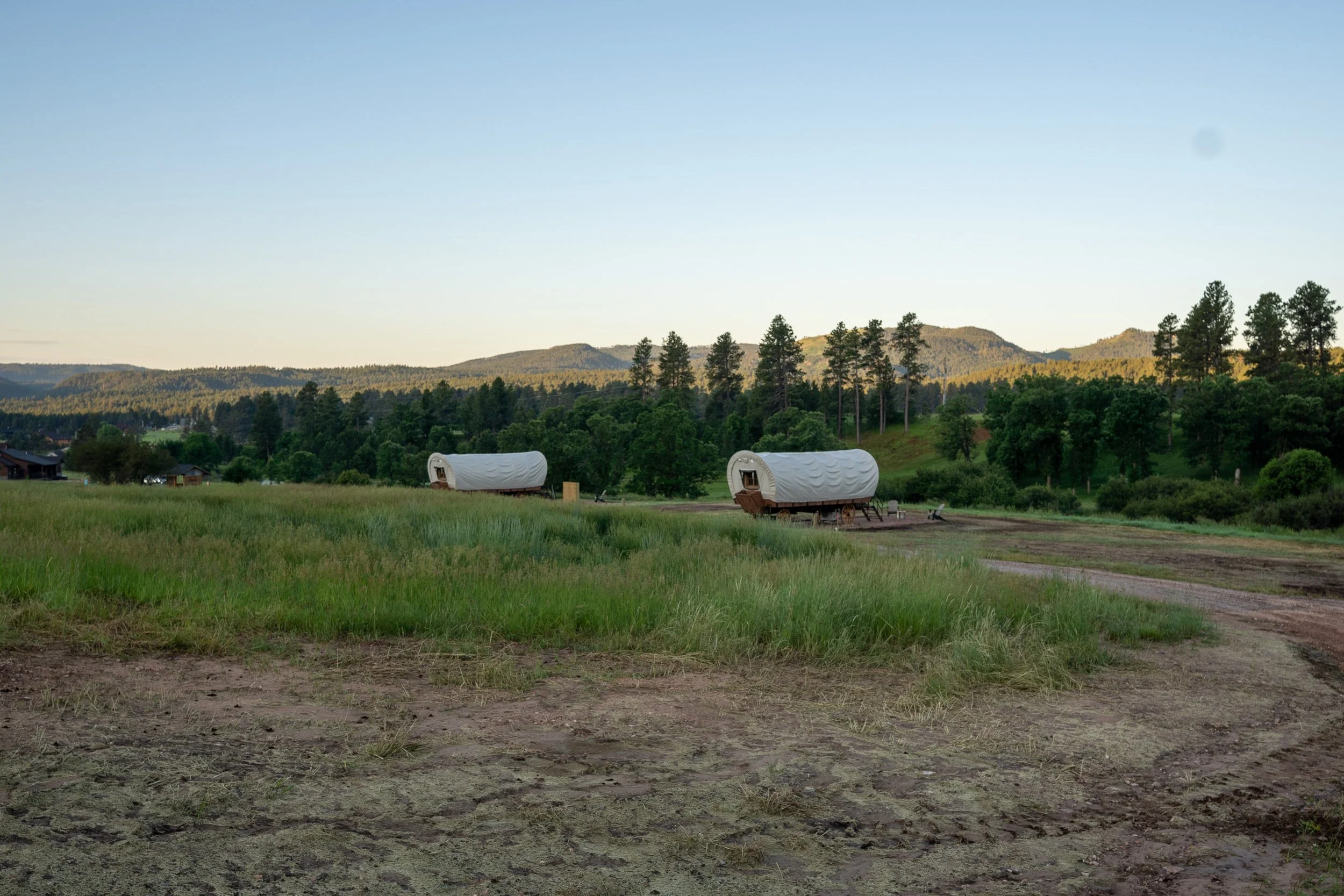 The Wagons Arrival-04.jpg