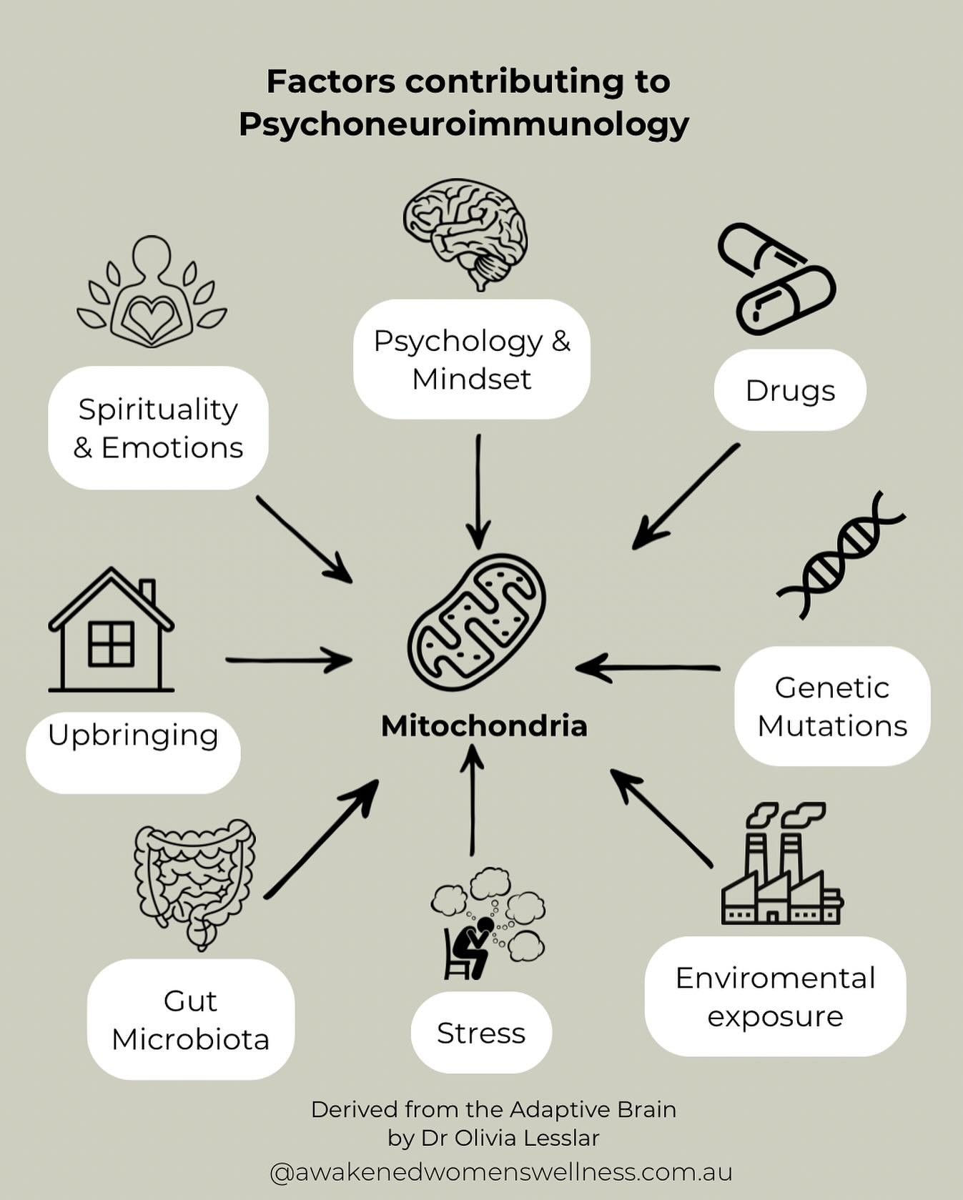 This time last week I was in a seminar listening to the amazing @drolivialesslar speak about Psychoneuroimmunology. 

✨ What is Psychoneuroimmunology? ✨
Psychoneuroimmunology (PNI) is the scientific study of how the mind (psycho-), the nervous system