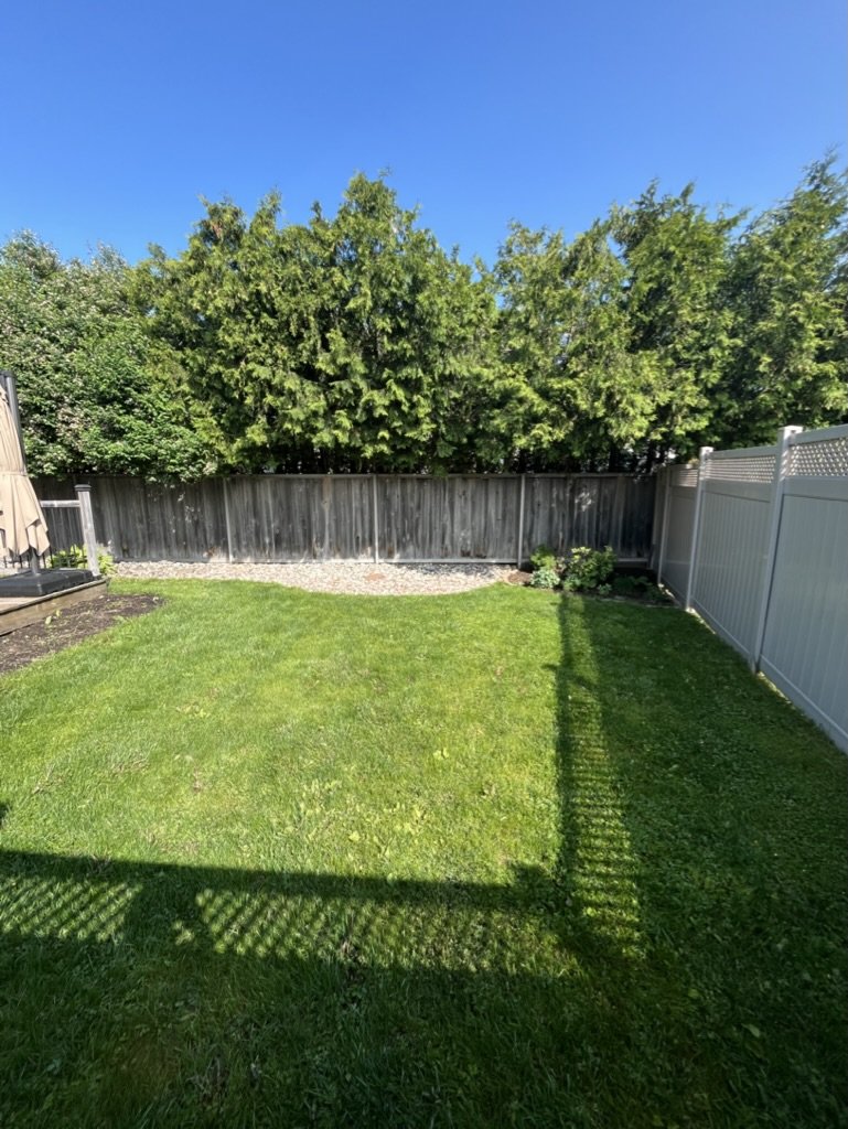 A backyard with a green grass lawn, wooden fence, and trees in the background under a clear blue sky. Shadows cast by a fence are visible on the grass.