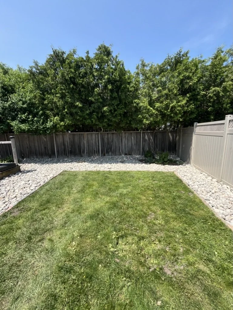 Backyard with green grass, gravel border, wooden and vinyl fence, and trees against a blue sky.