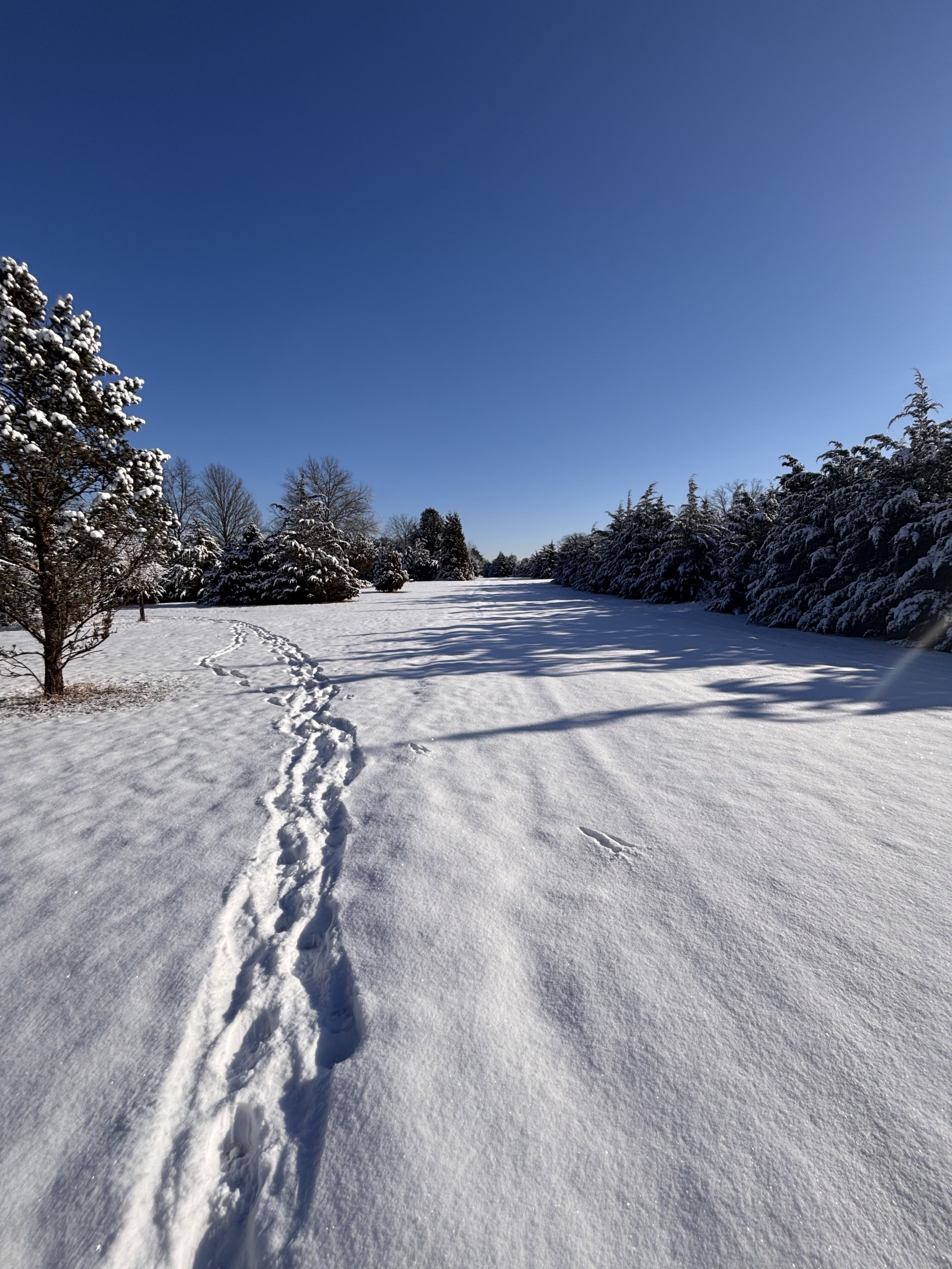 Four Things I Know for Sure as a Parent to an Autistic Child Suffering from Psychiatric Disorders