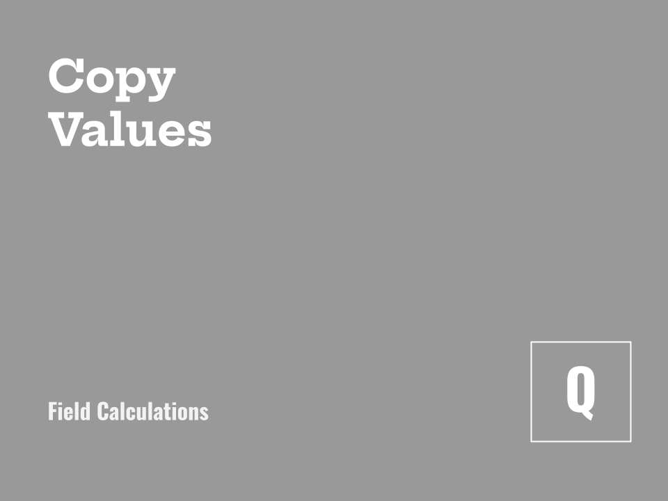 Copying Values to a New Field