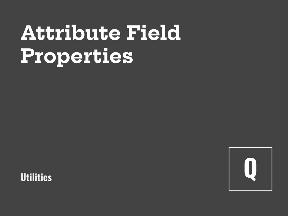 Attribute Field Properties