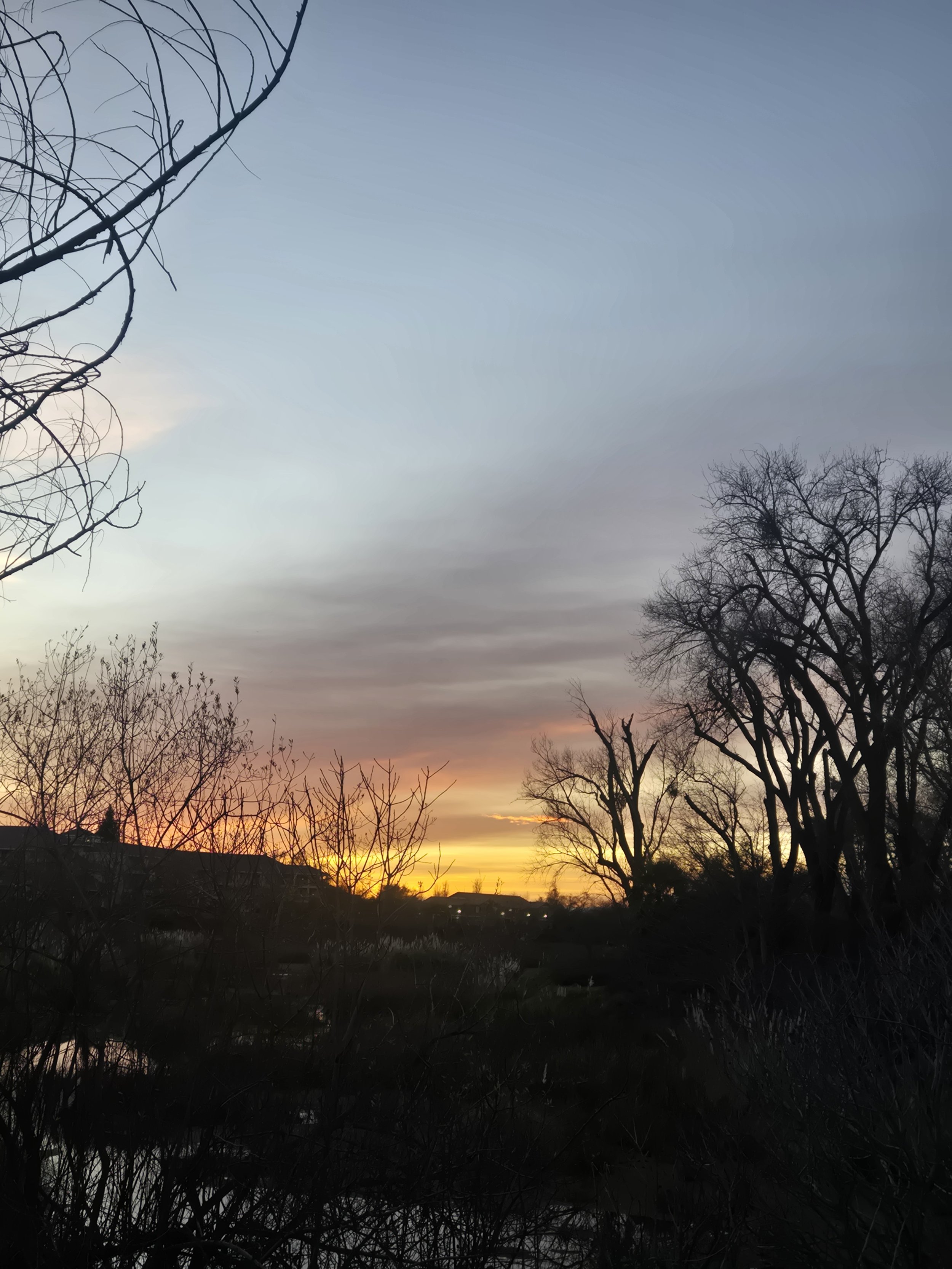 all the motions of ordinary love: an ode